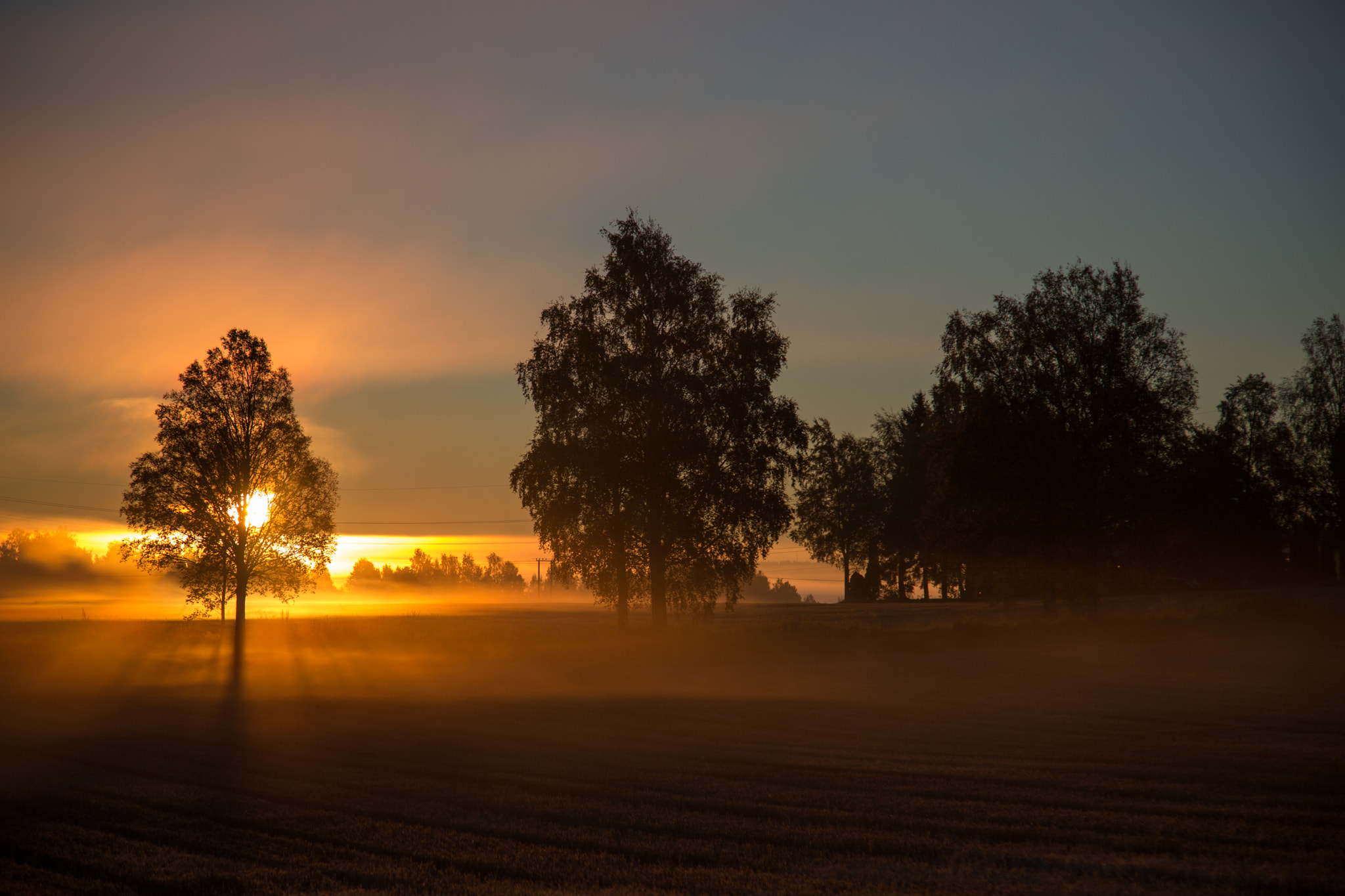 Fog and light