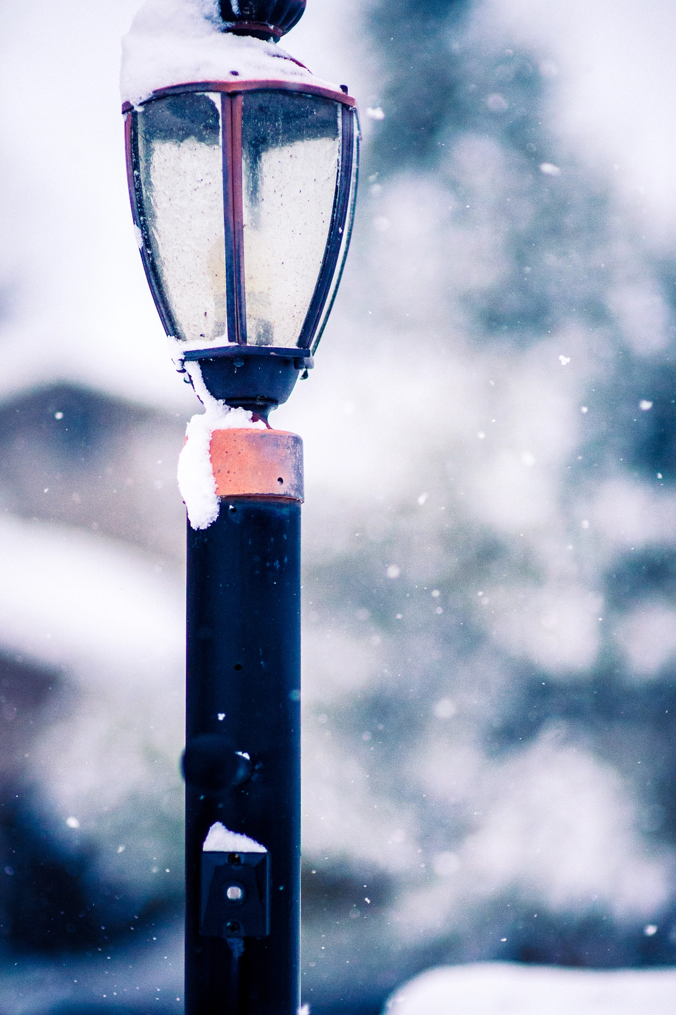 Nikon Df + Sigma 85mm F1.4 EX DG HSM sample photo. Snow photography