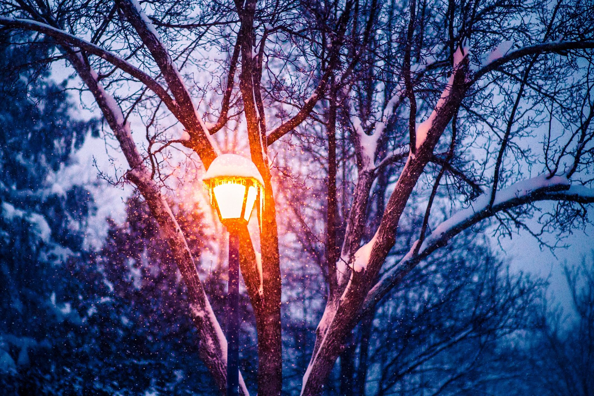 Nikon Df + Sigma 85mm F1.4 EX DG HSM sample photo. Snow photography