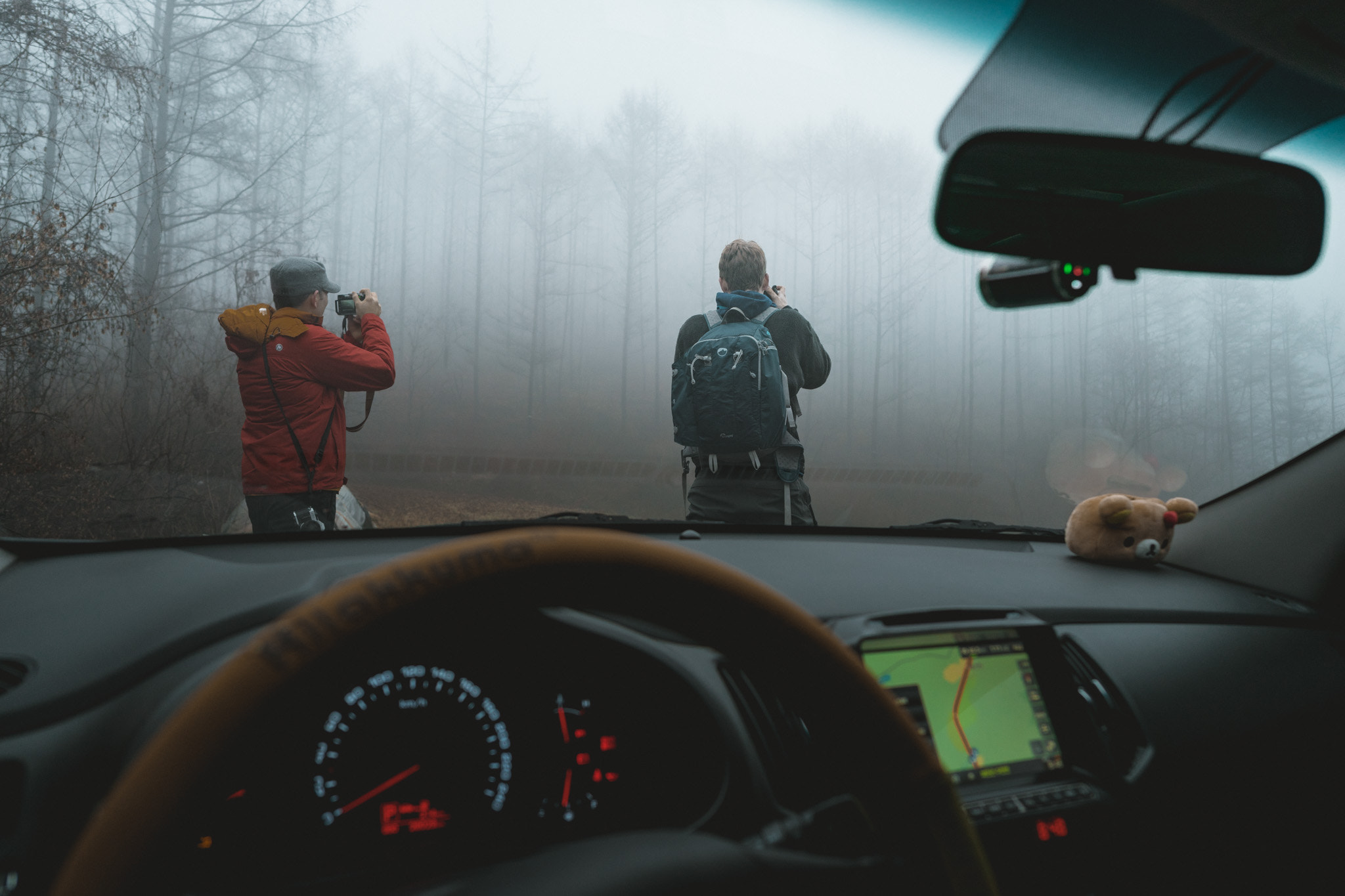 Sony a7 + ZEISS Batis 25mm F2 sample photo. Foggy views from the car photography
