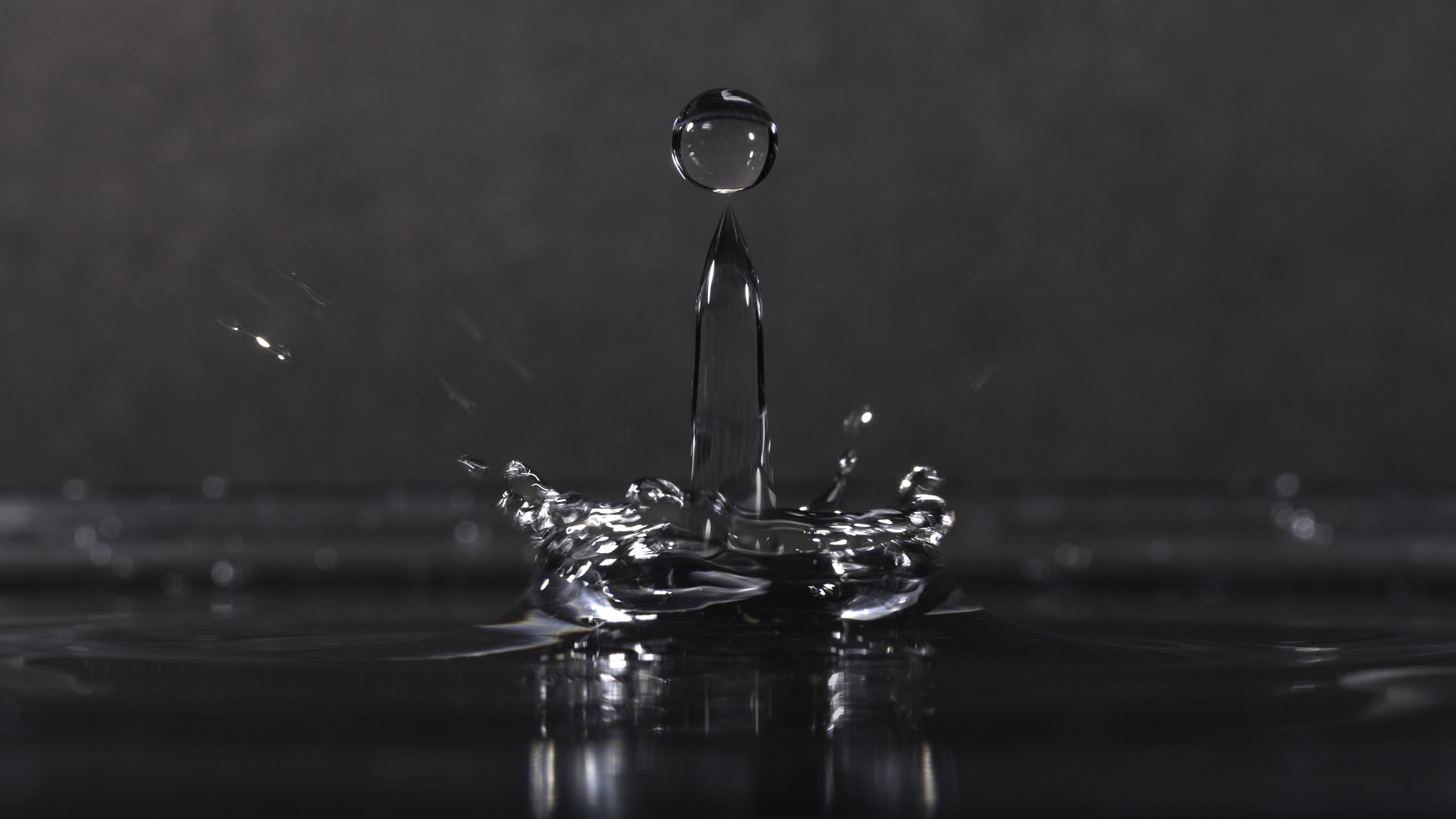 Sigma 105mm F2.8 EX DG OS HSM sample photo. " water drop " photography