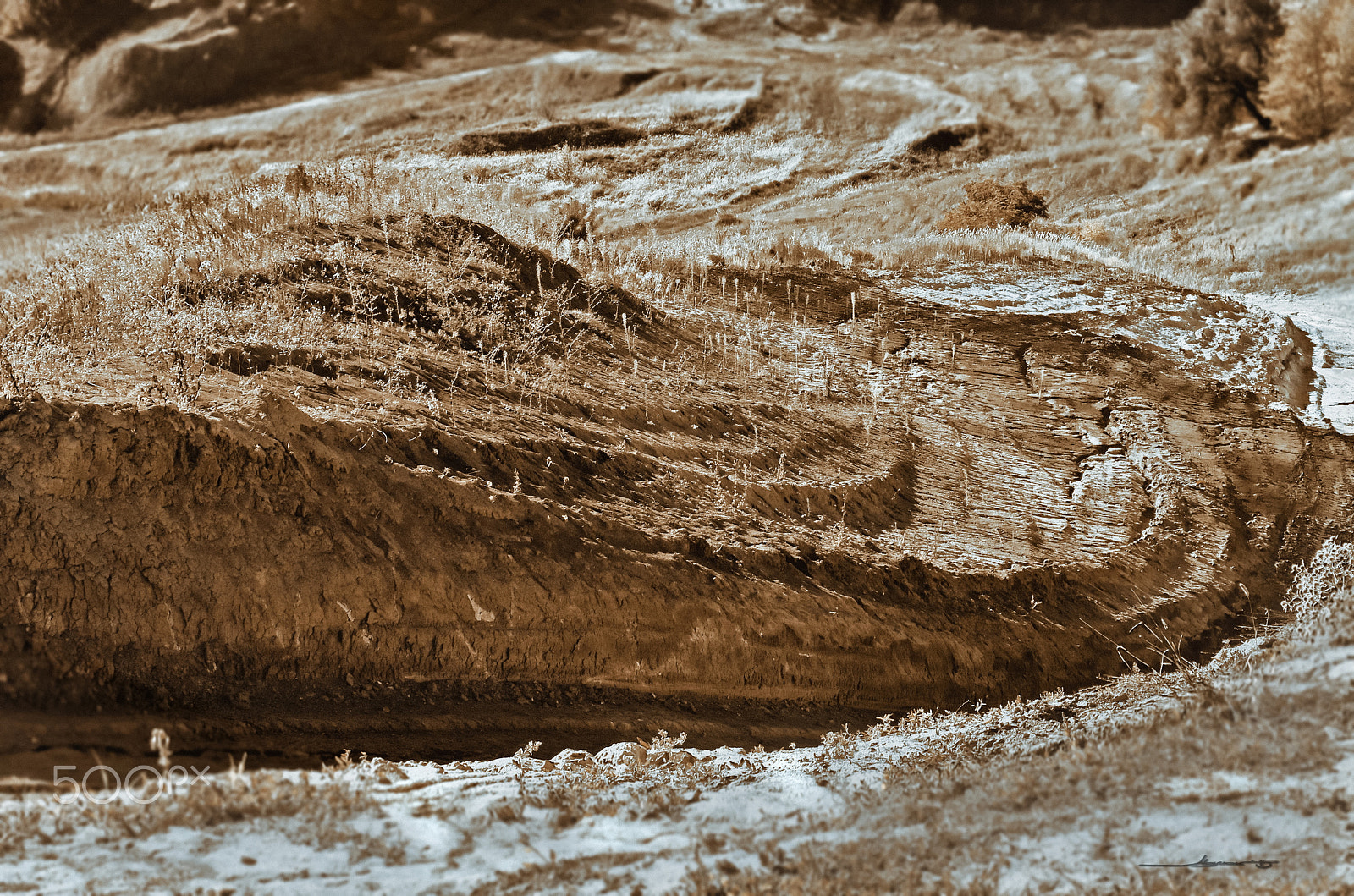 Pentax K-5 IIs sample photo. Salt of the earth. photography