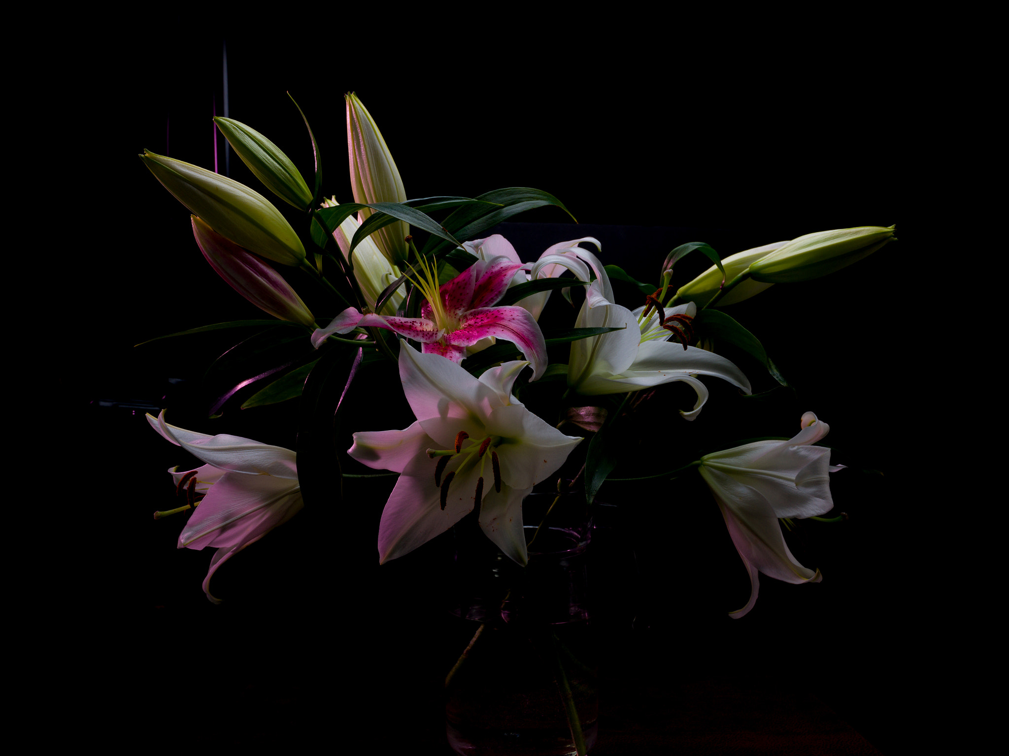 Hasselblad H4D-40 + HCD 28 sample photo. Lilies photography