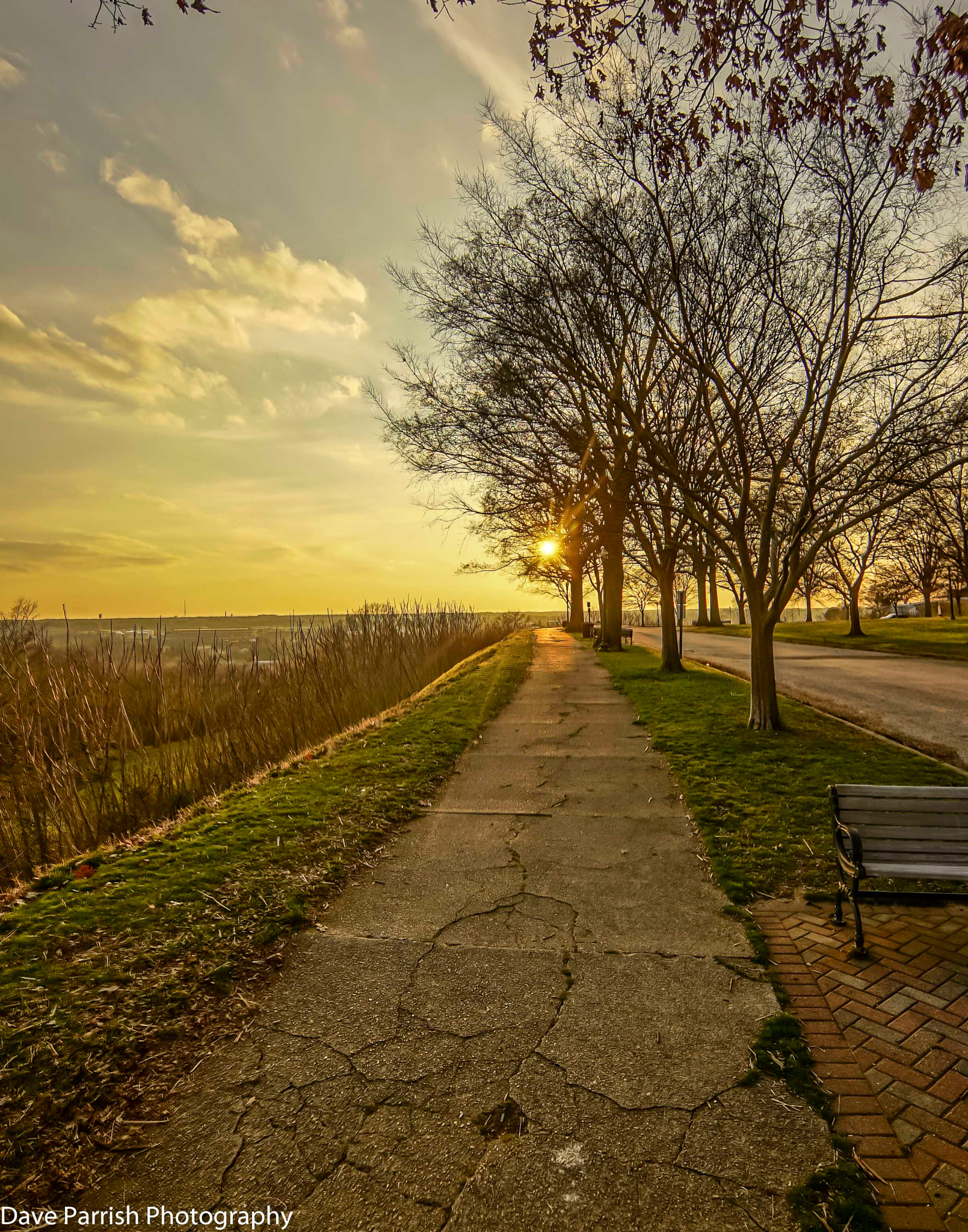 Sony a7S + 20mm F2.8 sample photo. Richmond walkaboiut photography