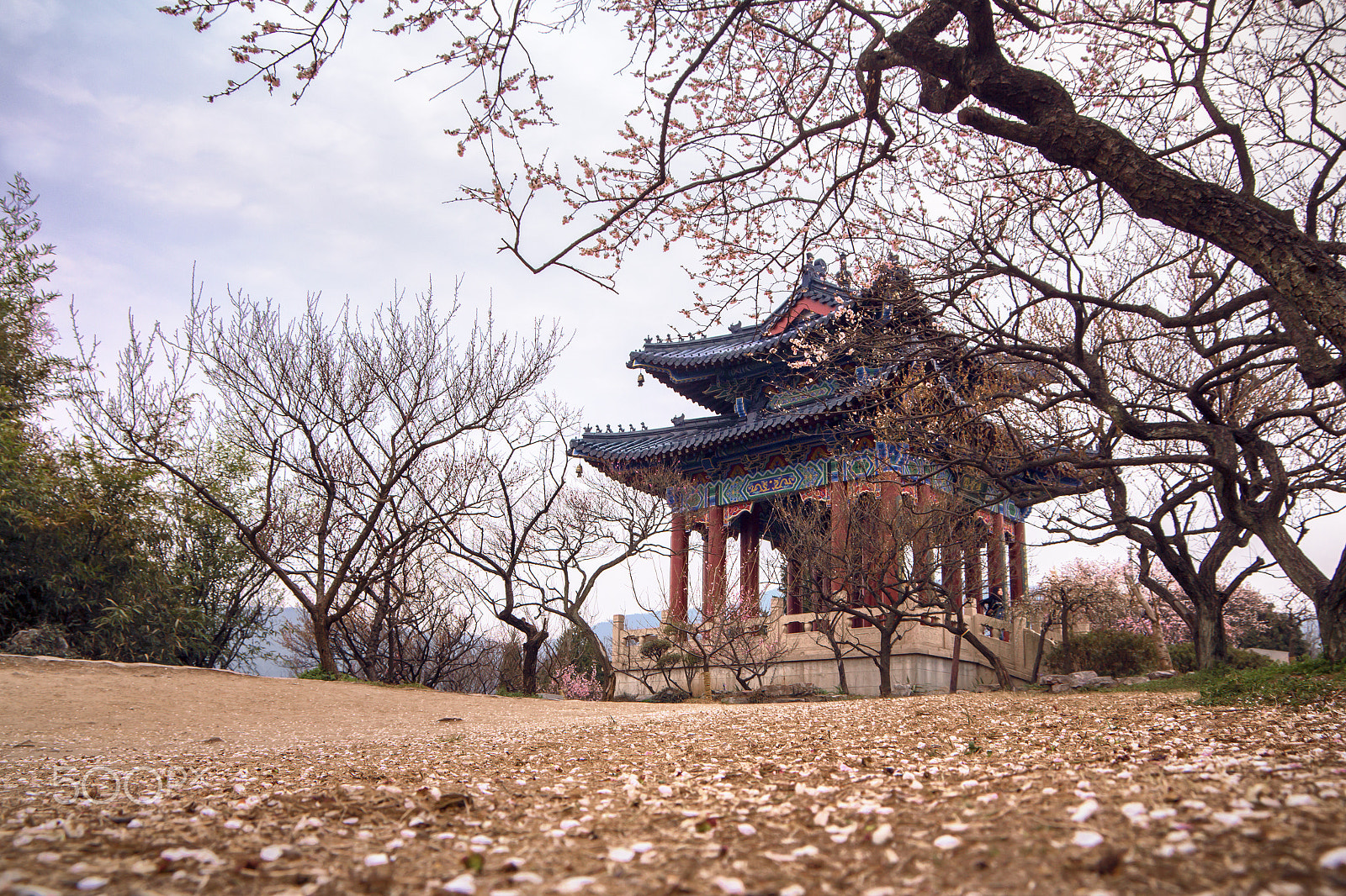 Sigma 17-70mm F2.8-4 DC Macro OS HSM sample photo. 博爱阁 photography
