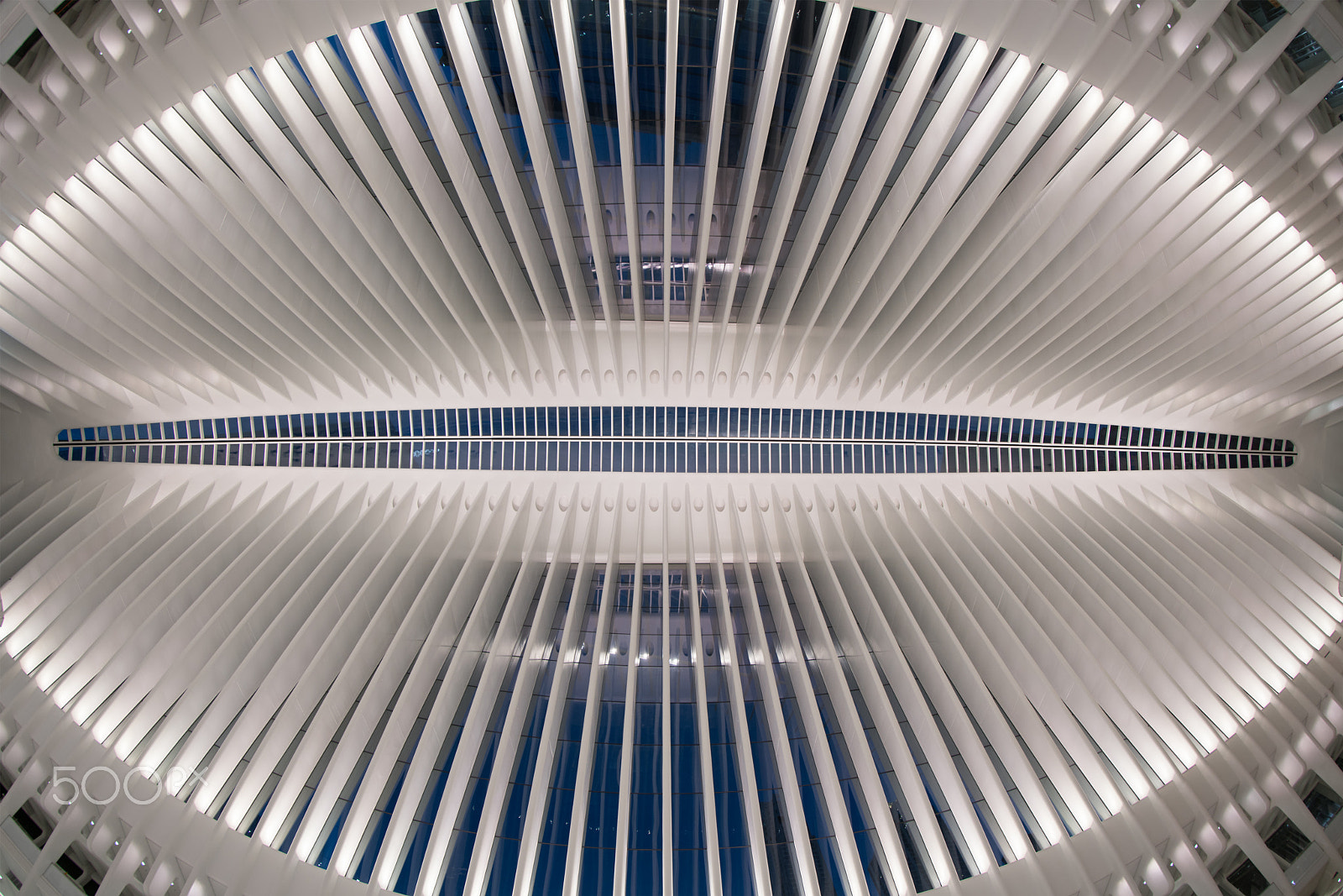 Canon EF 8-15mm F4L Fisheye USM sample photo. The oculus photography