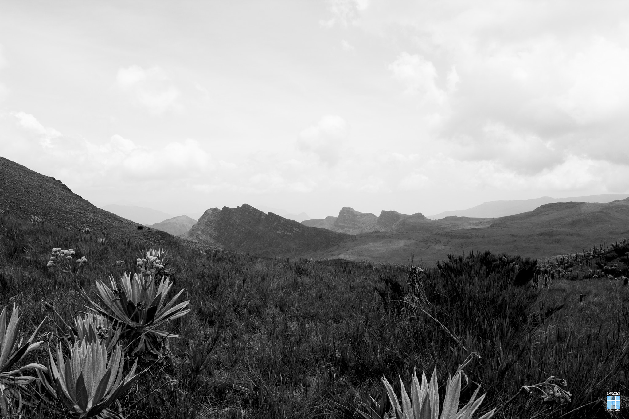 Canon EOS 1100D (EOS Rebel T3 / EOS Kiss X50) + Canon EF-S 18-55mm F3.5-5.6 IS sample photo. Parque nacional chingaza colombia photography