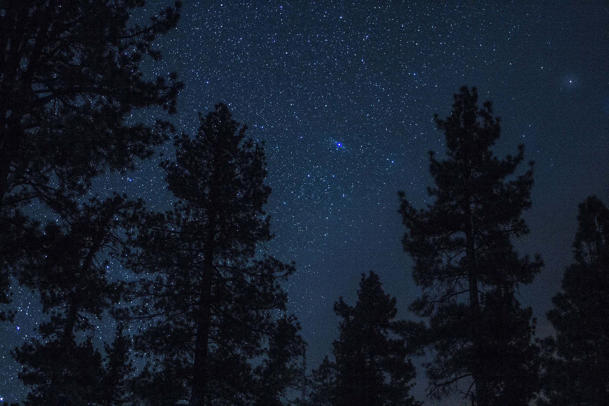 Canon EF 28-80mm f/3.5-5.6 sample photo. Osa mayor photography