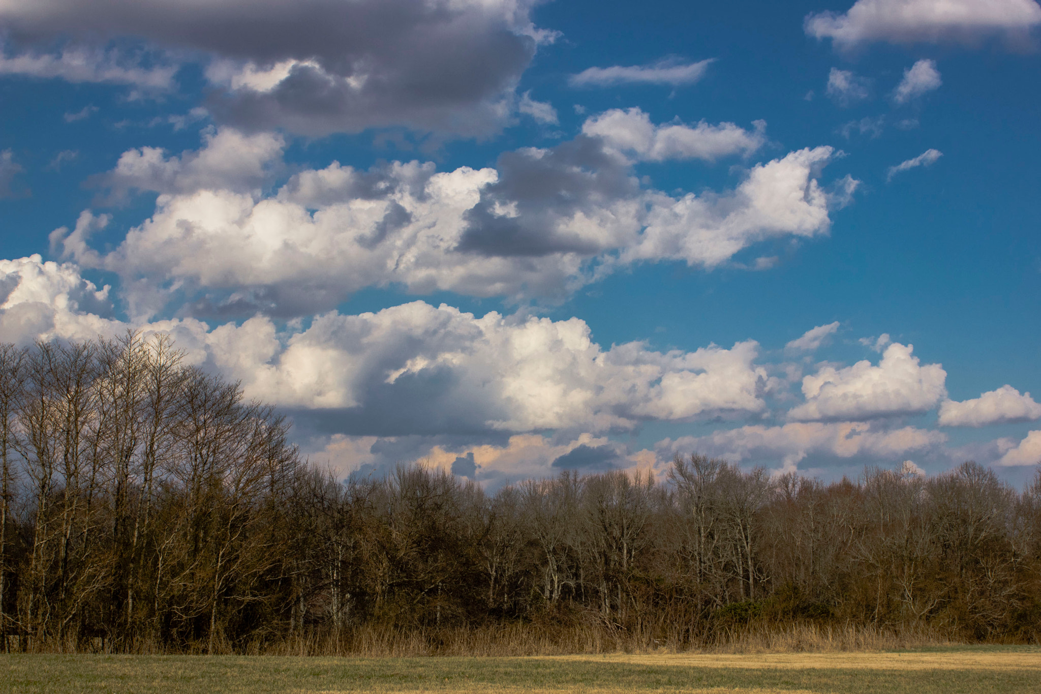 Canon EF 35-80mm f/4-5.6 sample photo. Cloudy day photography