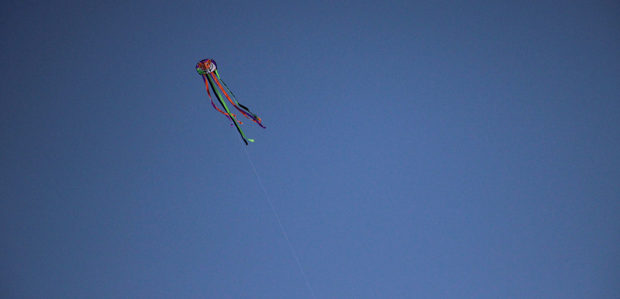 Canon EF-S 18-135mm F3.5-5.6 IS STM sample photo. Sky dancer photography
