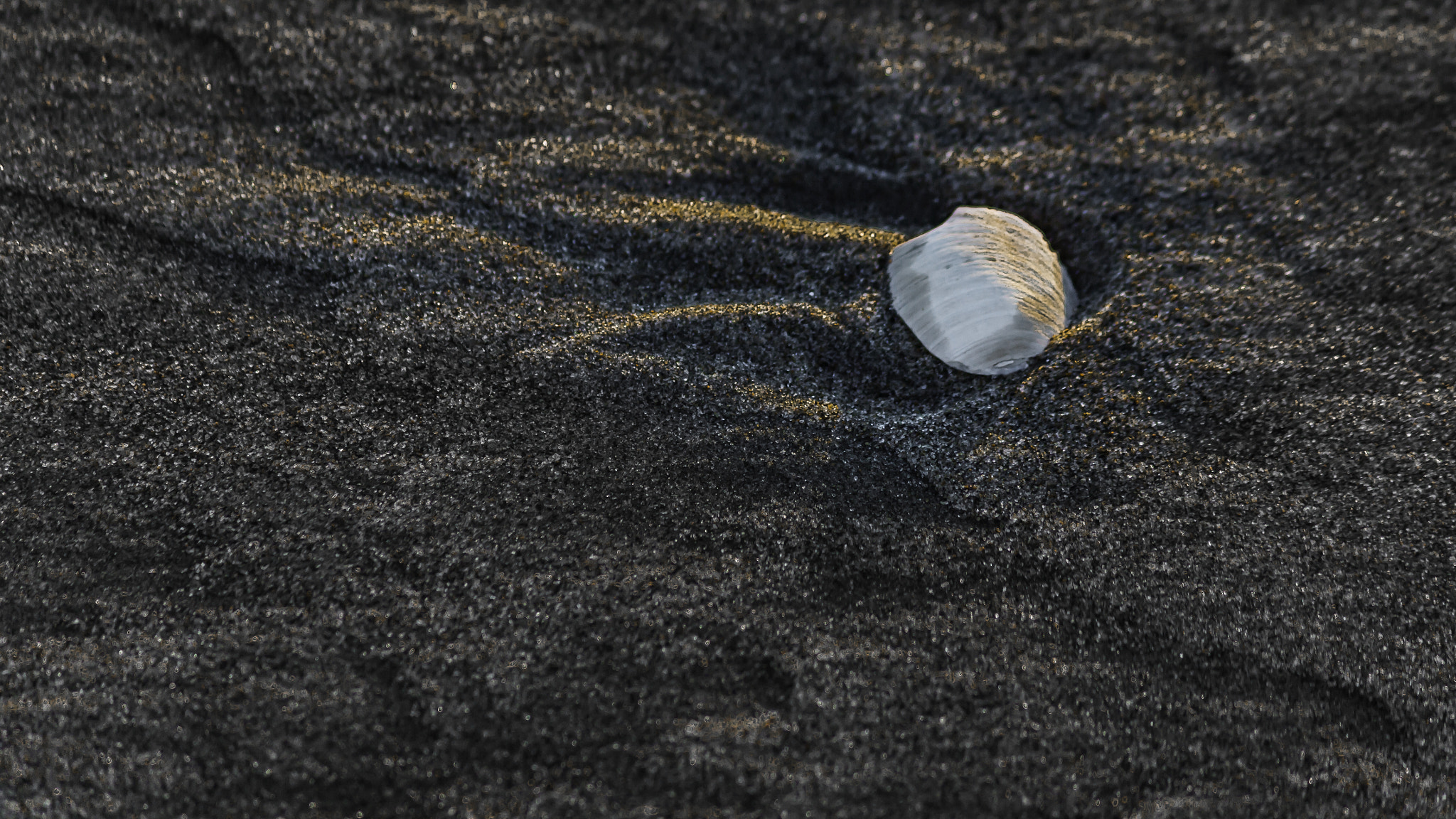 Canon EF 75-300mm F4.0-5.6 IS USM sample photo. Sunset shell photography
