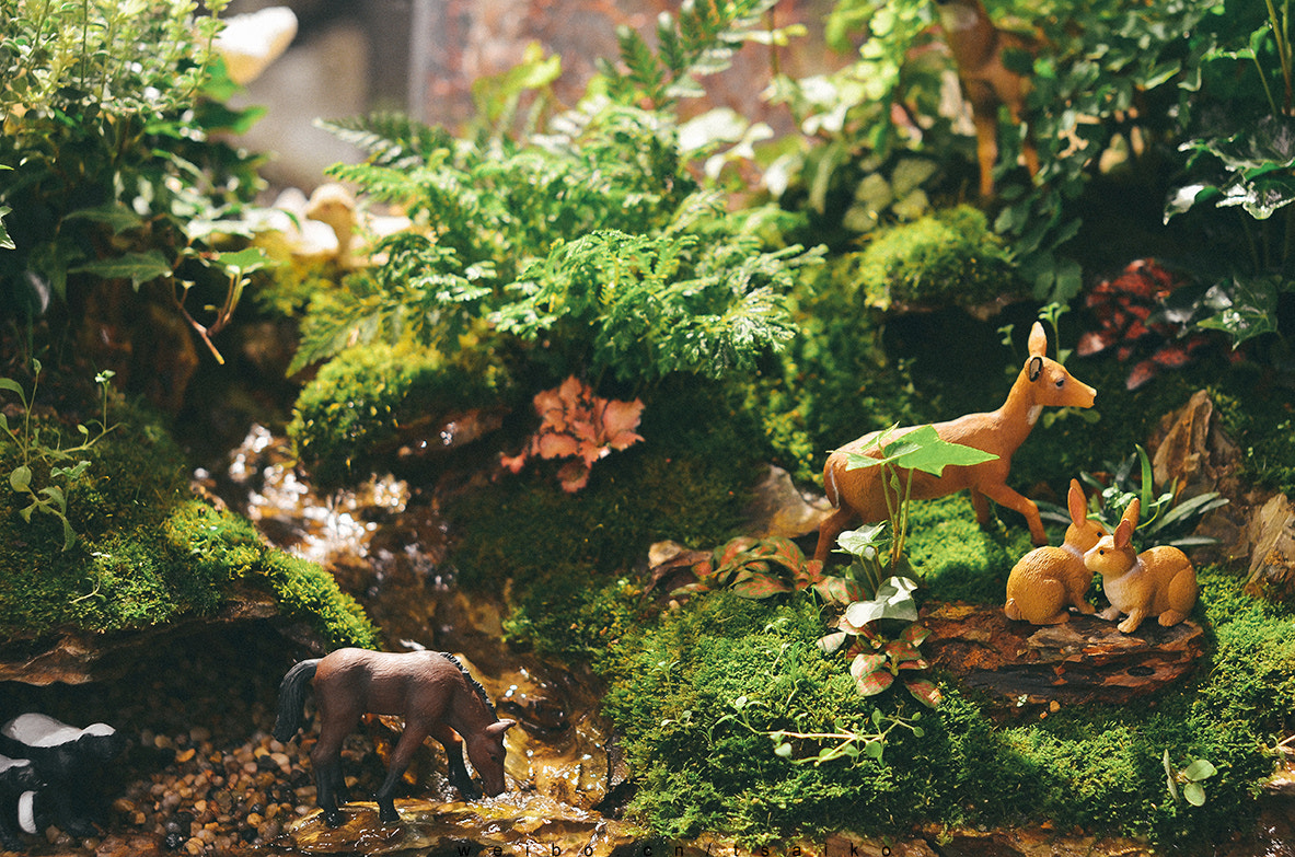 Nikon D5100 + Sigma 50mm F1.4 EX DG HSM sample photo.  my face的店内装饰  photography