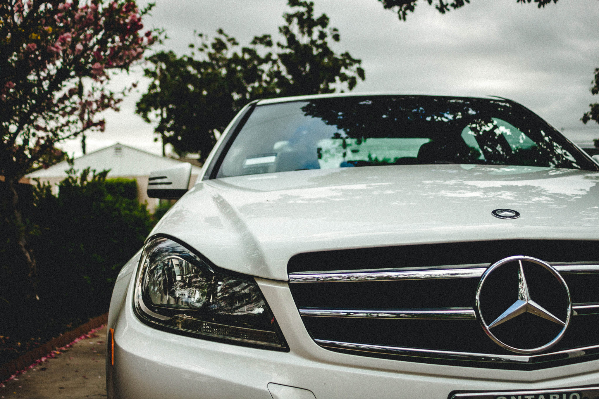 Canon EF 28-80mm f/3.5-5.6 sample photo. Lifes great photography