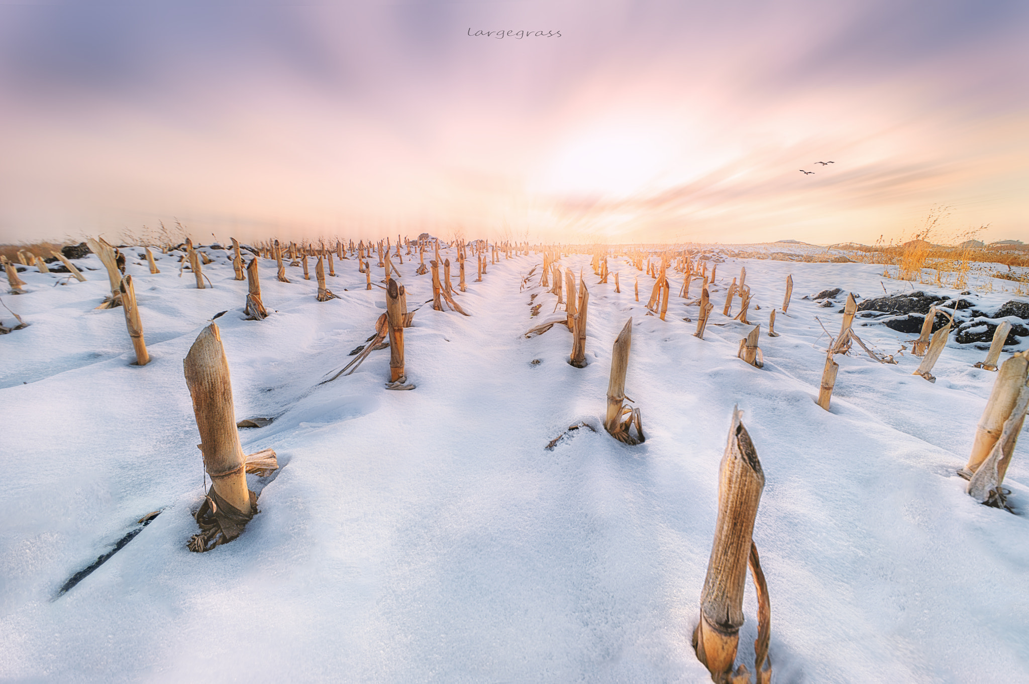Sigma 12-24mm F4.5-5.6 II DG HSM sample photo. Snow end photography