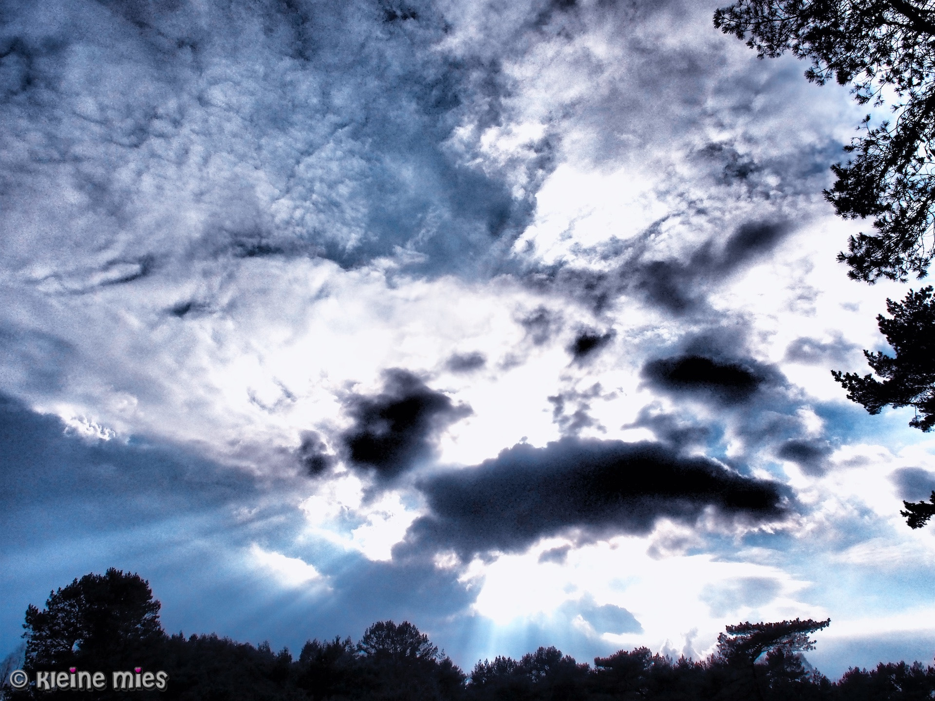 Panasonic Lumix G X Vario 12-35mm F2.8 ASPH Power OIS sample photo. Ic dragons photography