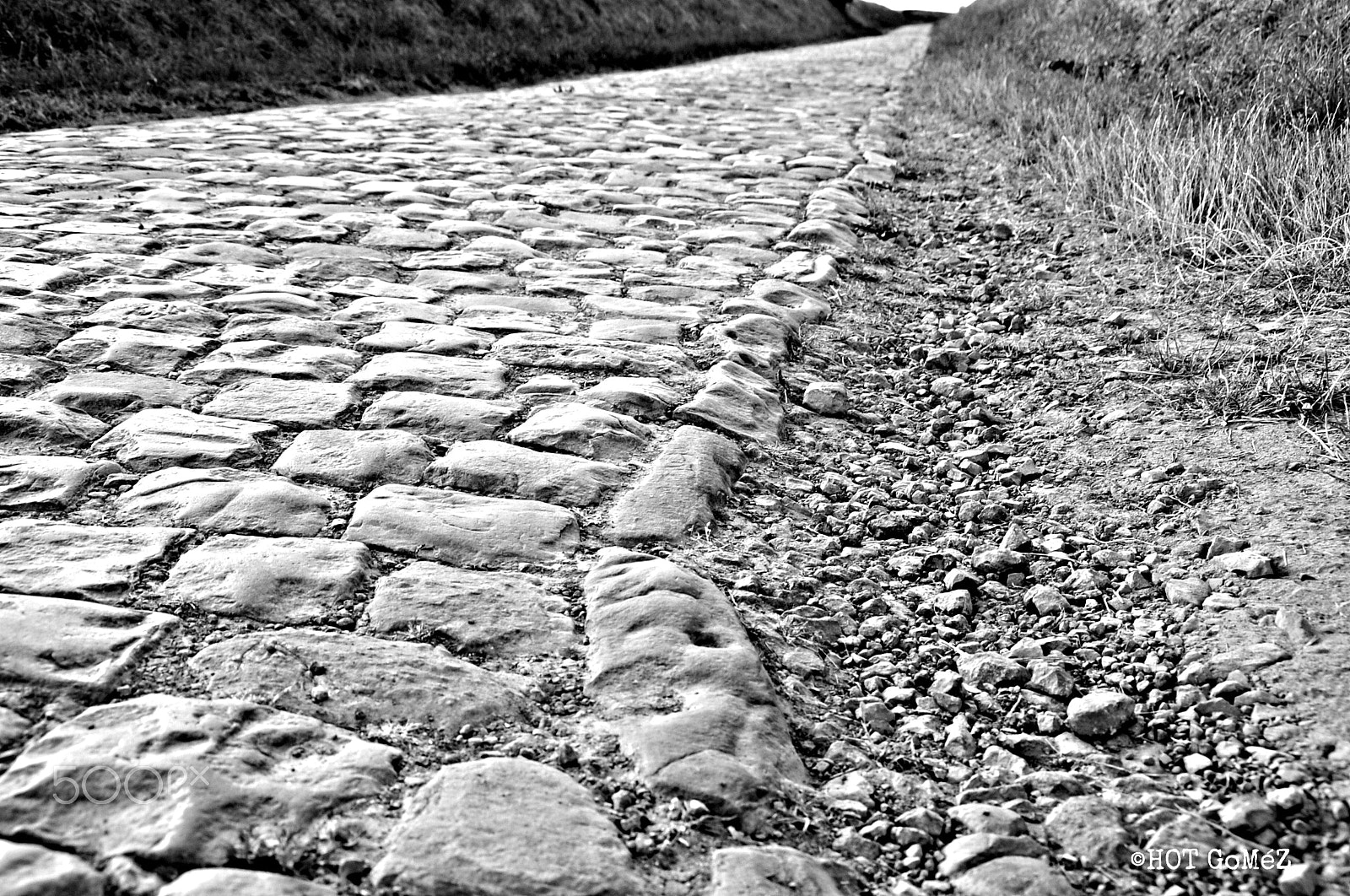 Nikon D3 sample photo. Pavé photography