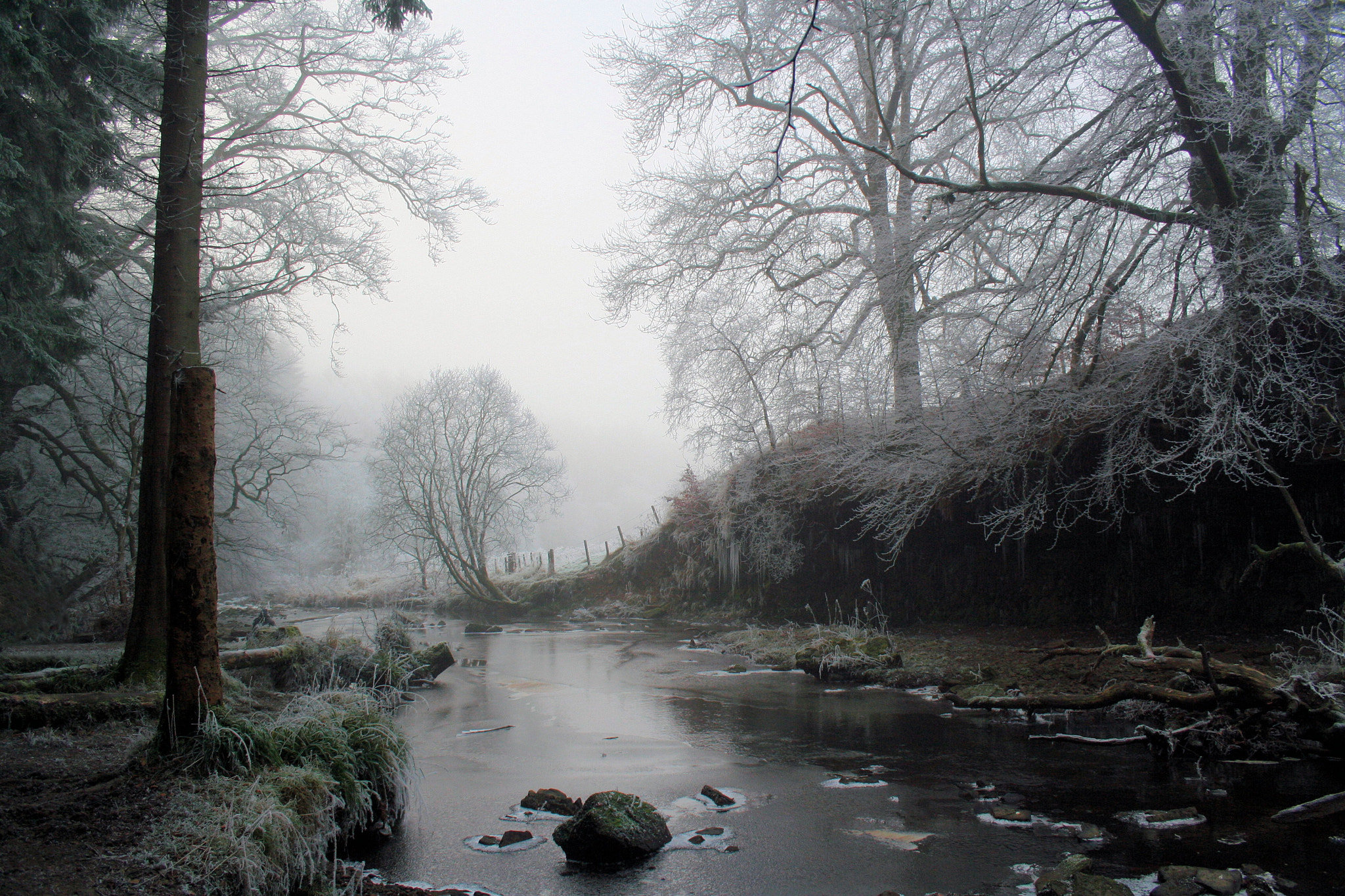 Canon EF 50mm f/1.8 sample photo. Calderglen photography