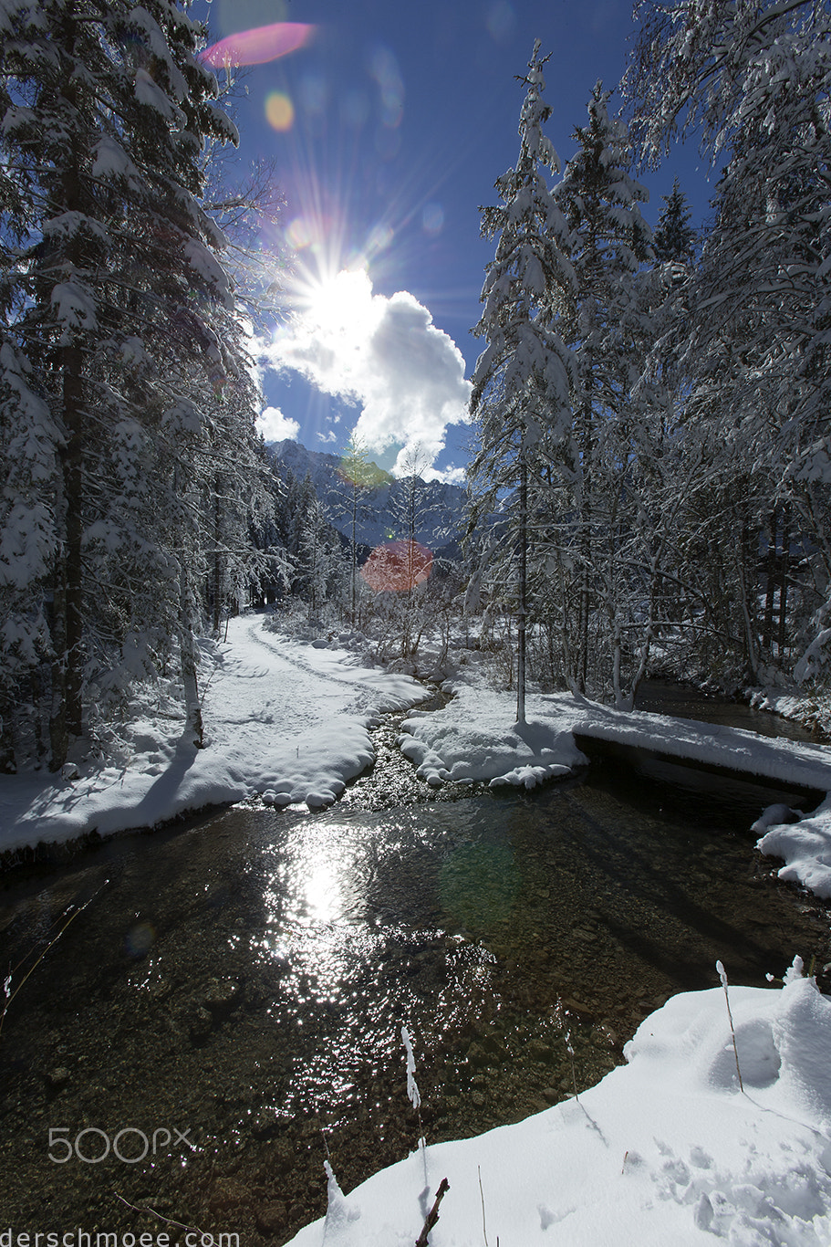 Canon EOS-1D X + Canon EF 16-35mm F2.8L USM sample photo. Winterwonderland im bodental in kärnten photography