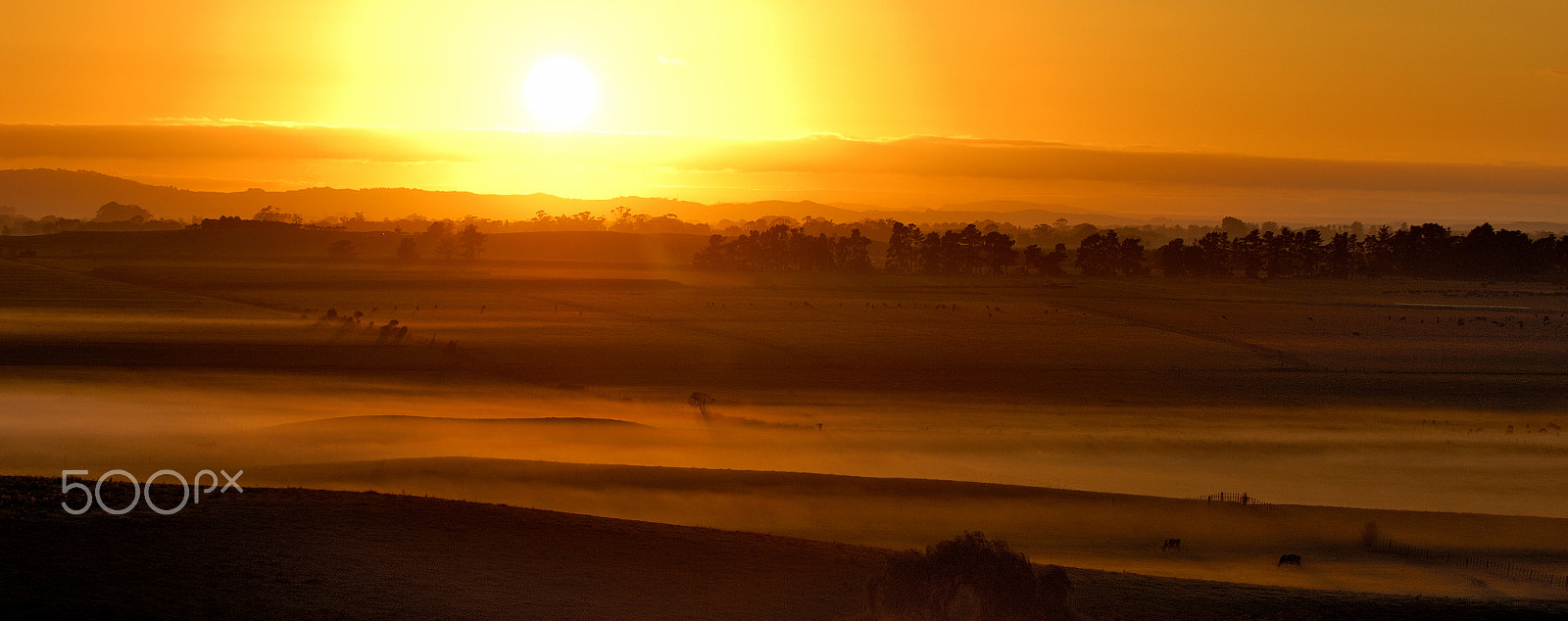 Nikon D2X sample photo. Sunrise over the dairy farm photography