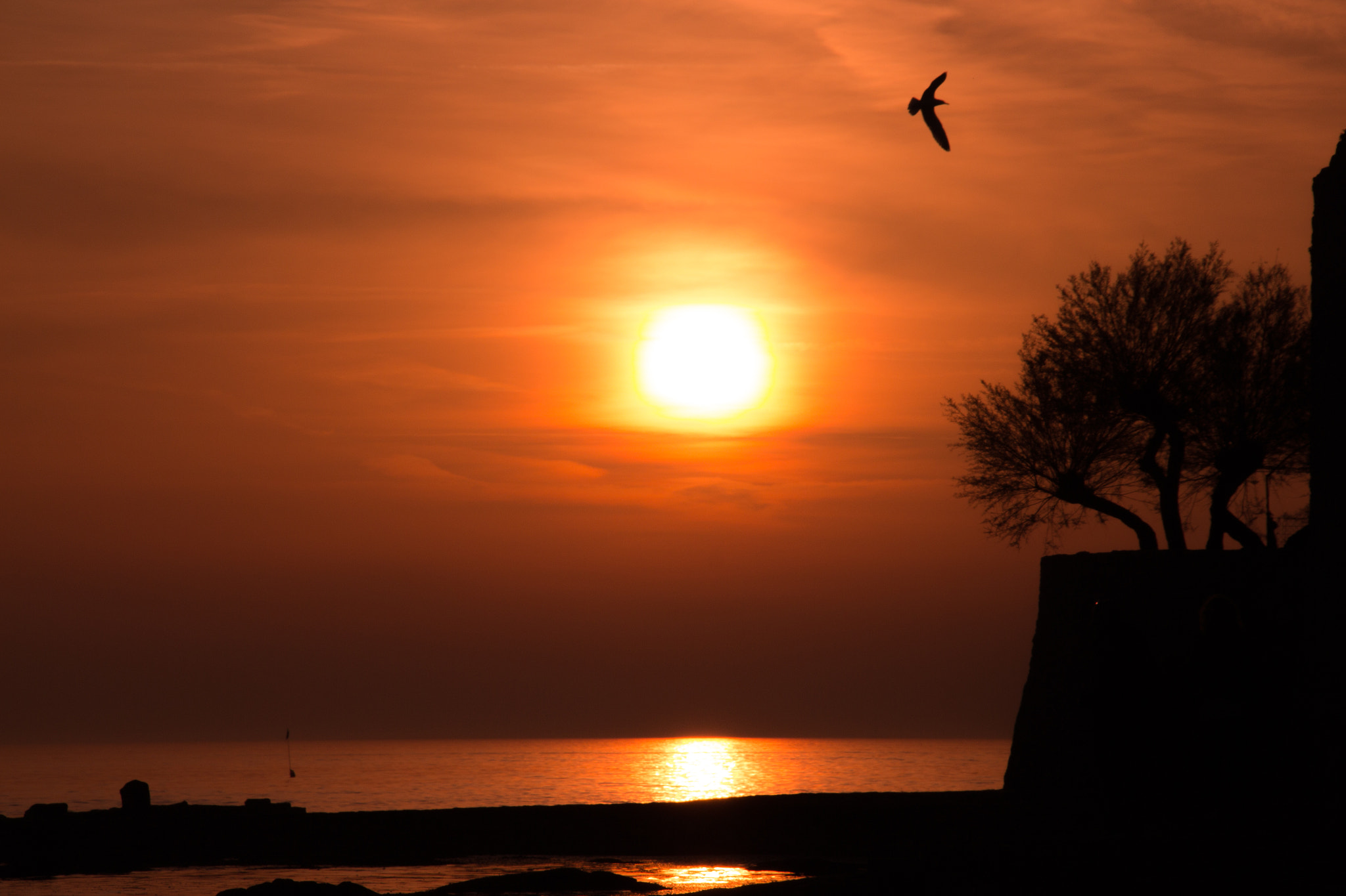 Sigma 18-200mm f/3.5-6.3 DC OS sample photo. Sunset photography