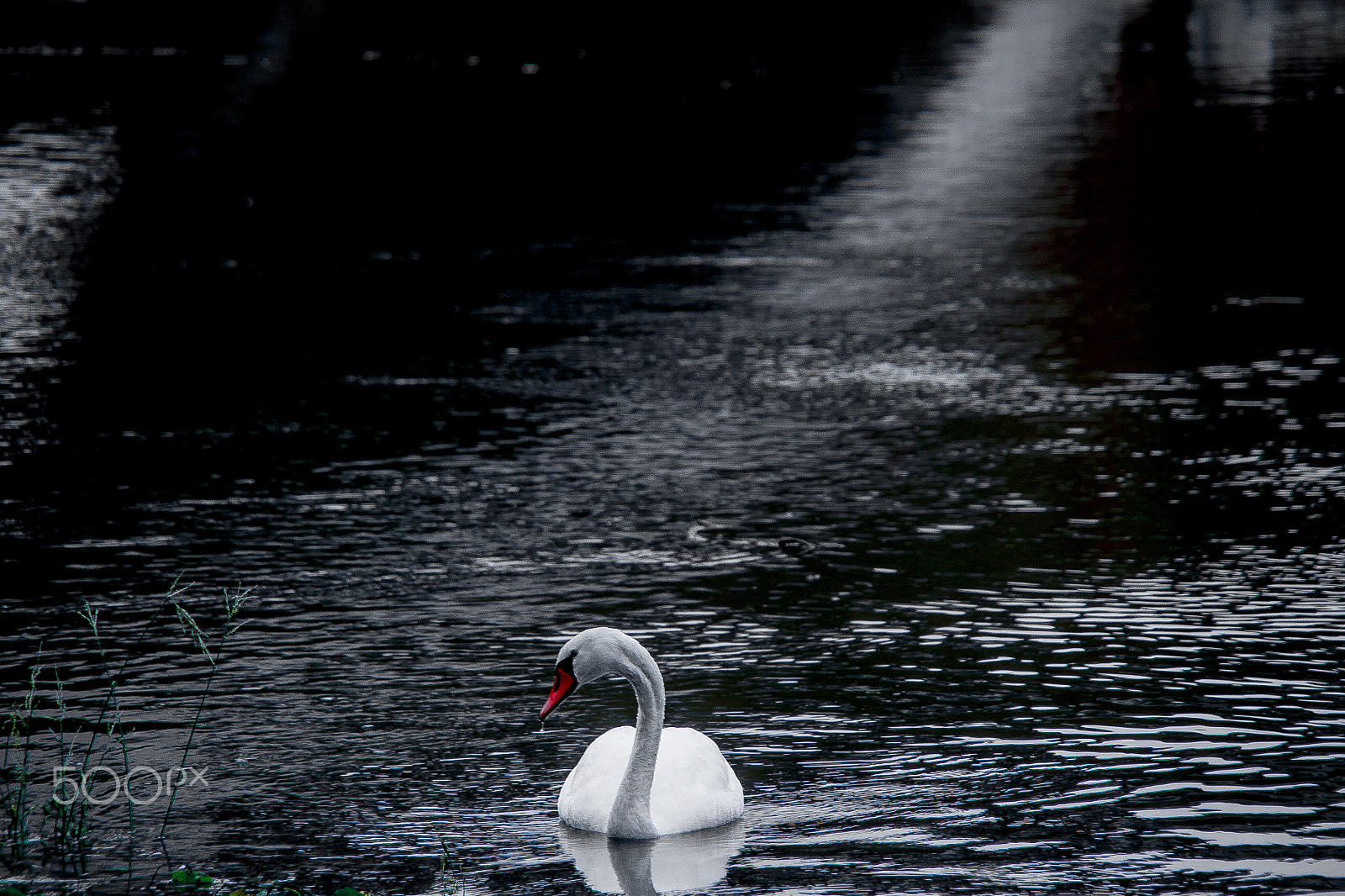 Sigma 18-200mm f/3.5-6.3 DC OS sample photo. Little prince photography