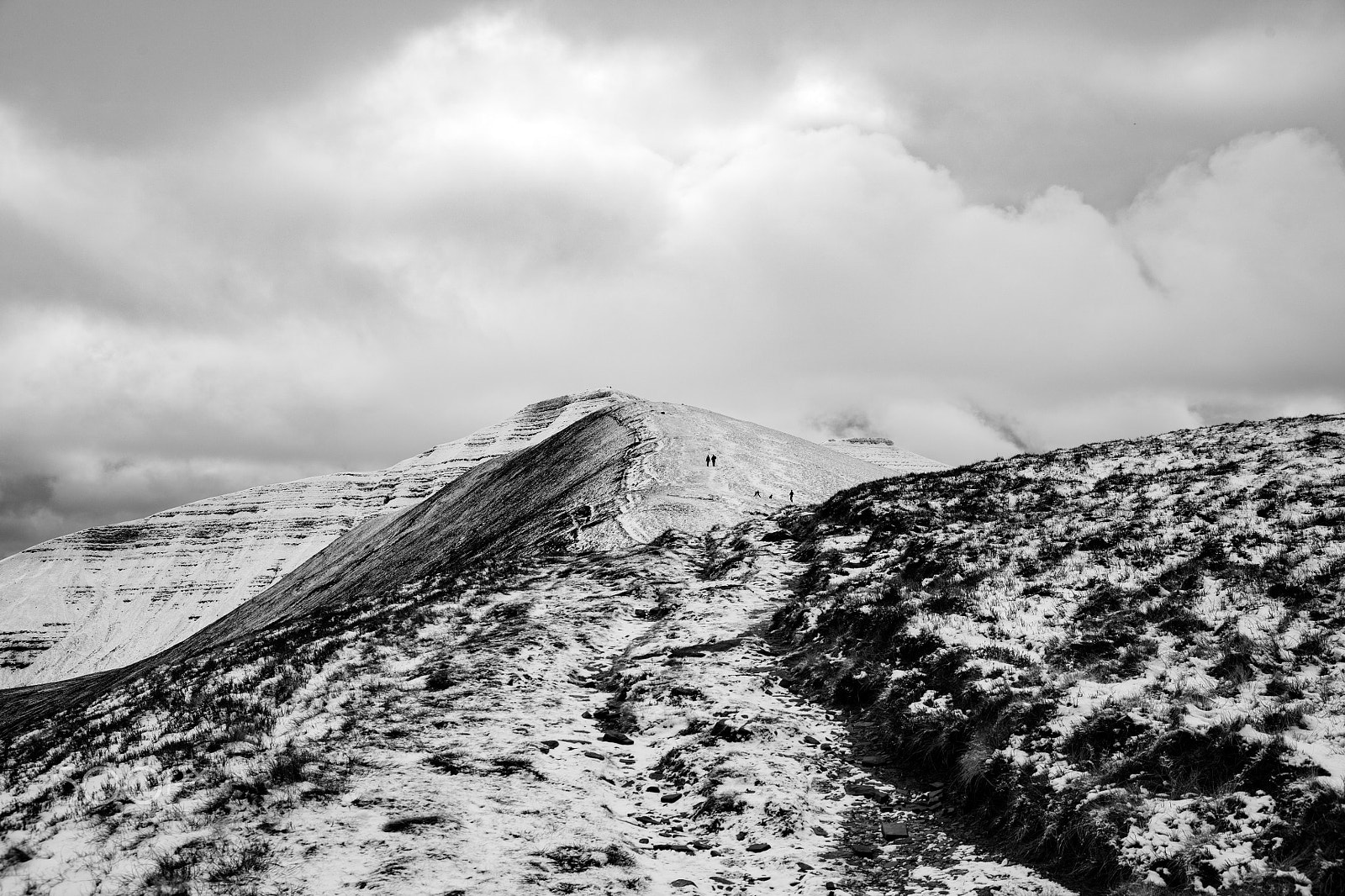 Canon EOS 5DS + Canon EF 500mm F4L IS USM sample photo. A welsh journey photography