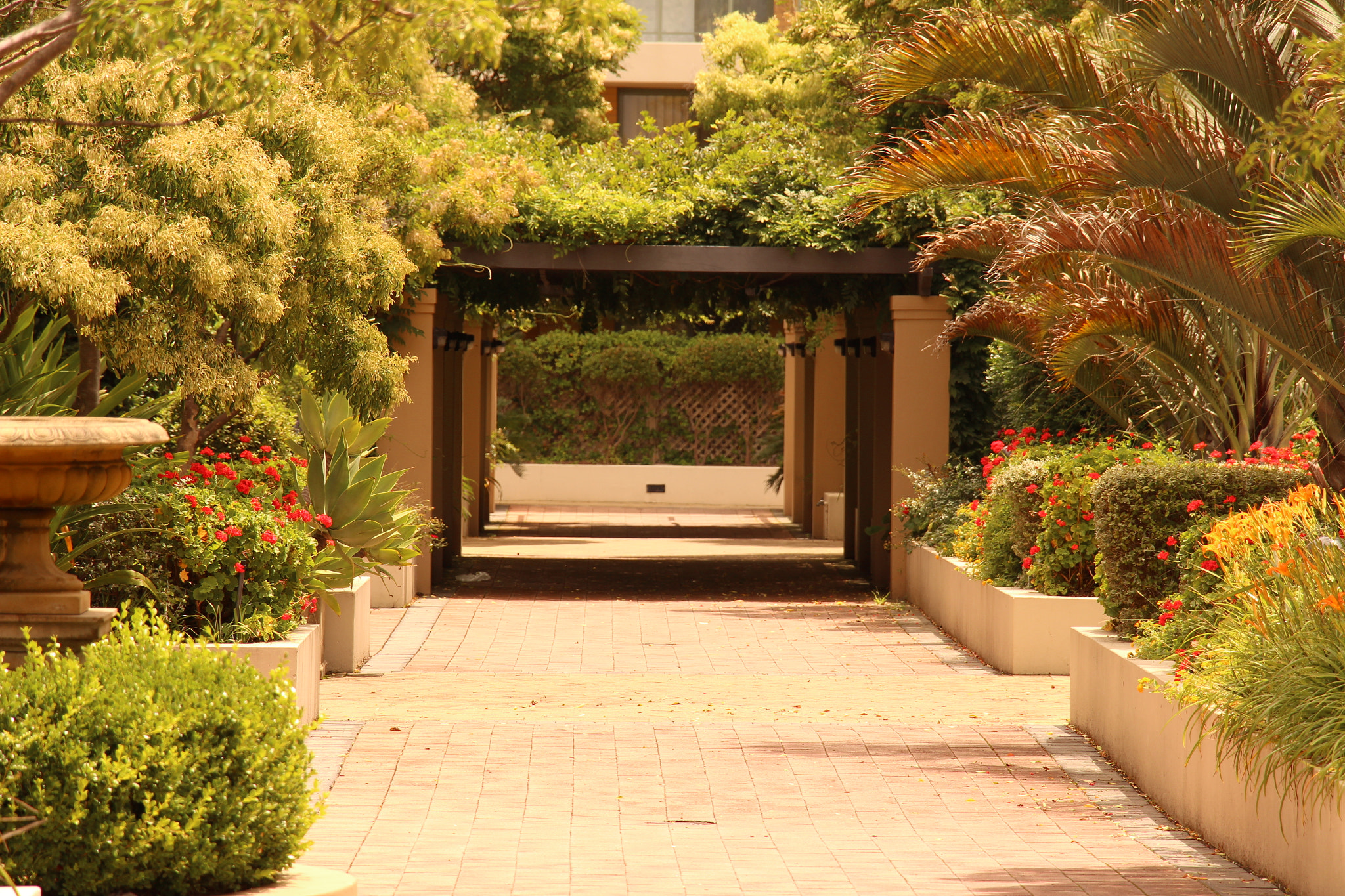 Canon EF 22-55mm f/4-5.6 USM sample photo. Image photography