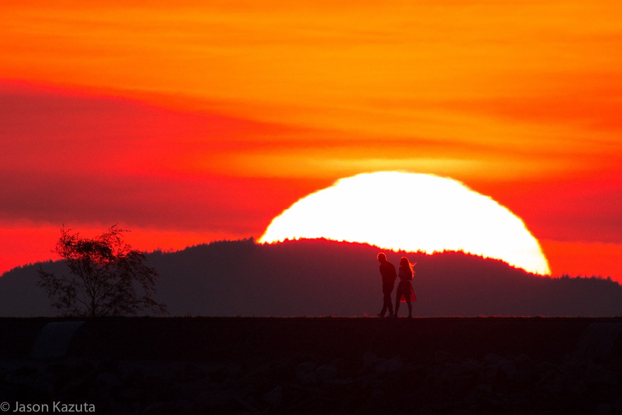 Canon EOS-1D X + Canon EF 600mm f/4L IS sample photo. _93q6846.jpg photography