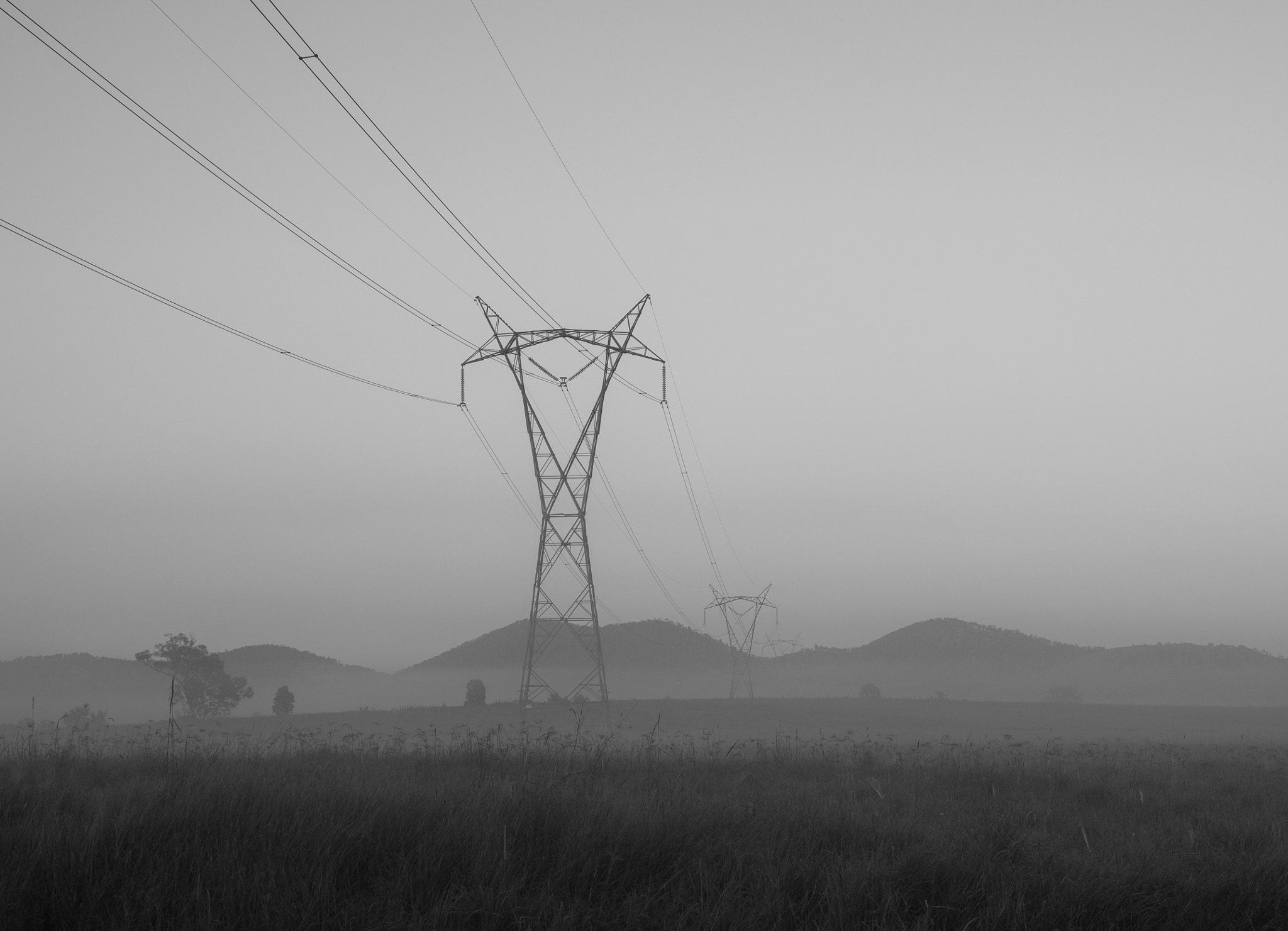 Pentax K-5 IIs + PENTAX-F 28-80mm F3.5-4.5 sample photo. Giants in the fog photography