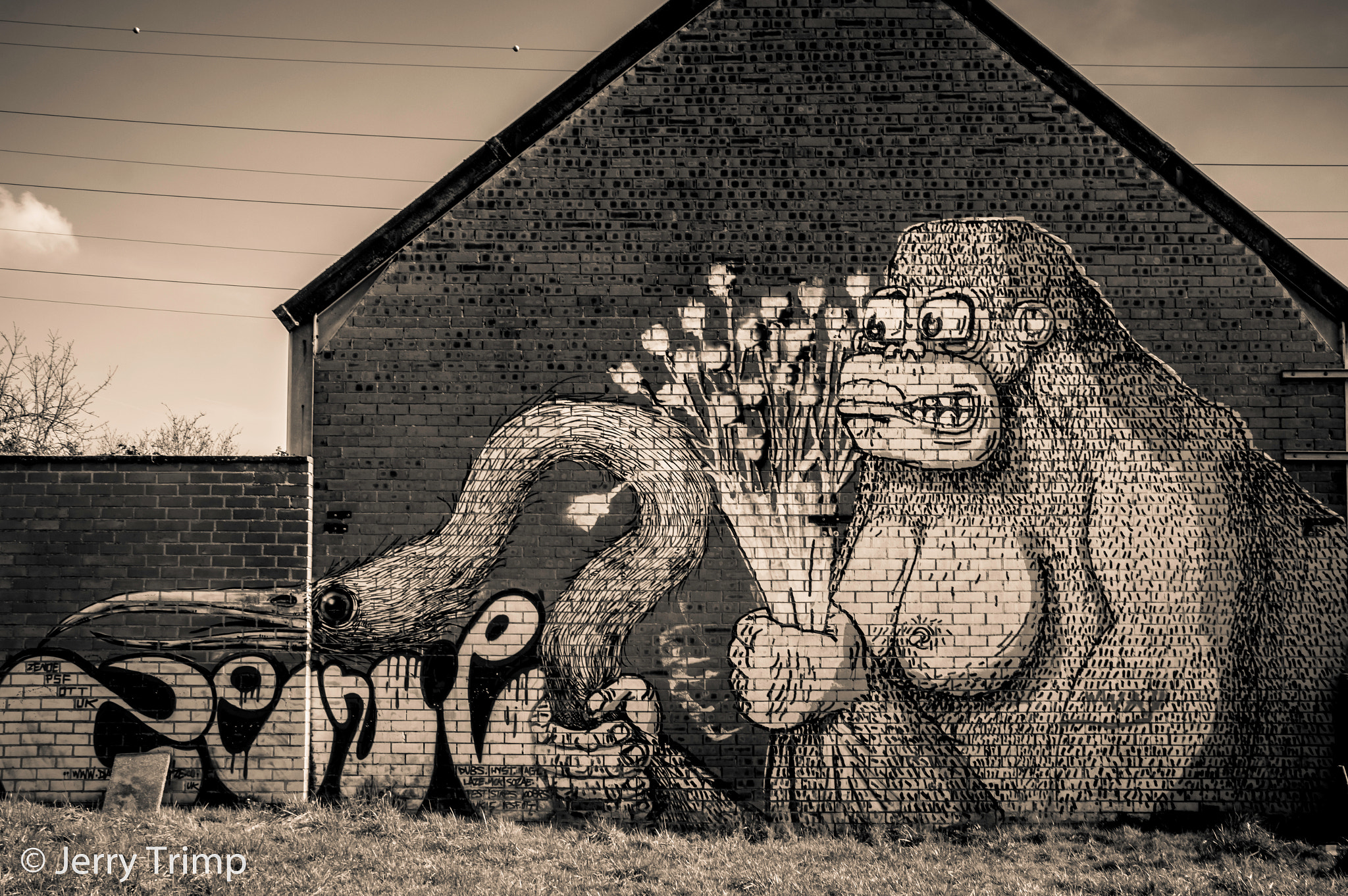 Sony SLT-A58 + Sigma DC 18-125mm F4-5,6 D sample photo. Gorilla mural photography