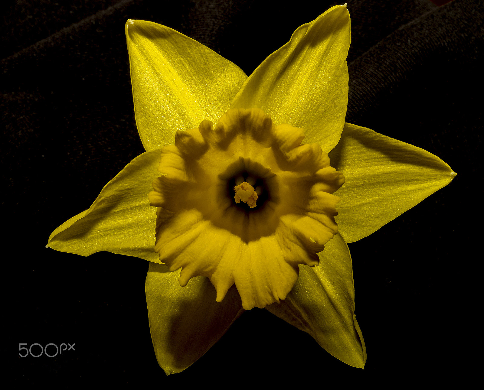 Sony SLT-A58 + Sony DT 30mm F2.8 Macro SAM sample photo. Spring... photography