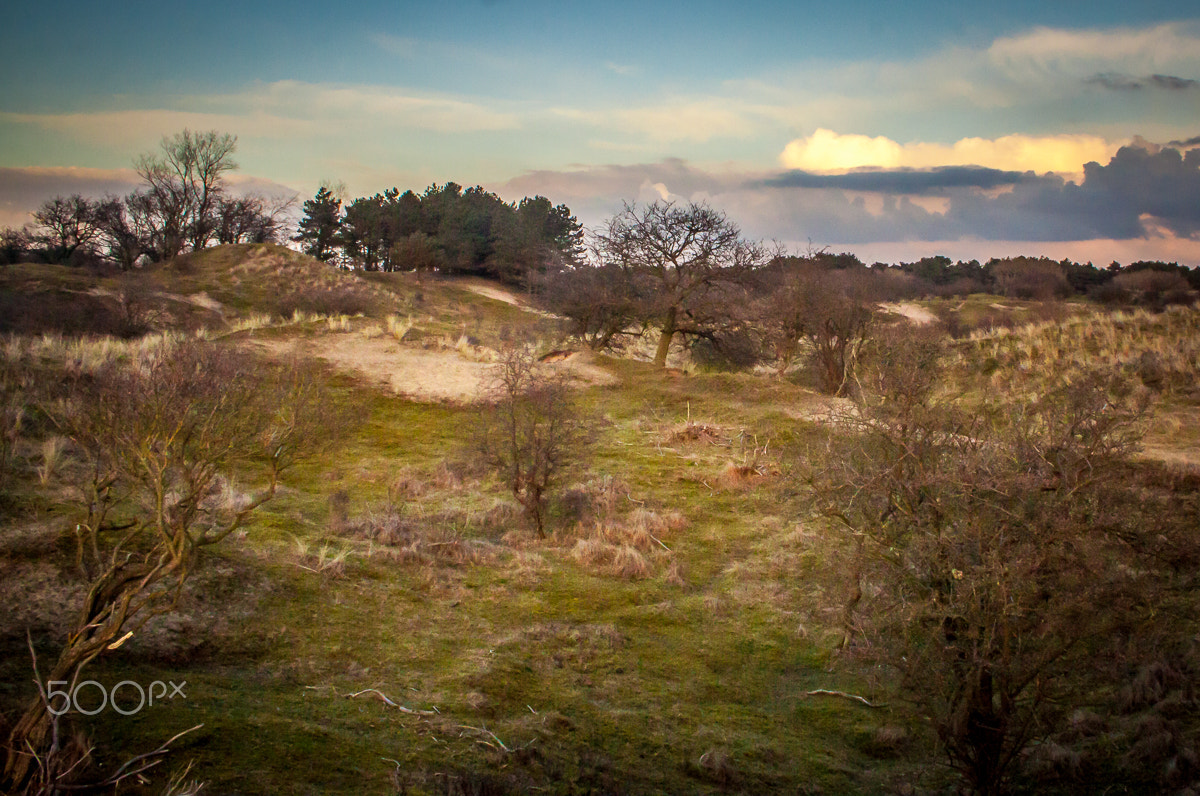 Canon EF-S 18-55mm F3.5-5.6 sample photo. Winter grassland photography