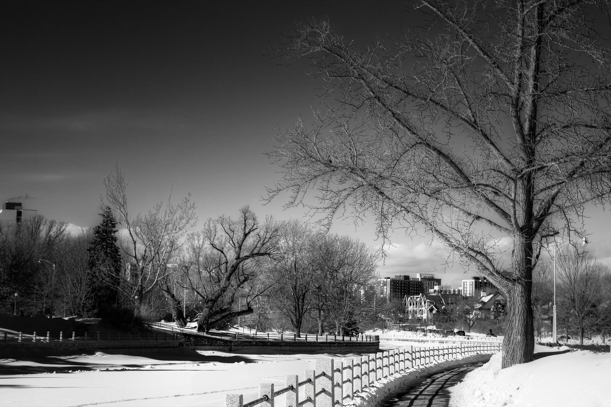 Canon EF-S 17-55mm F2.8 IS USM sample photo. Canal rideau photography