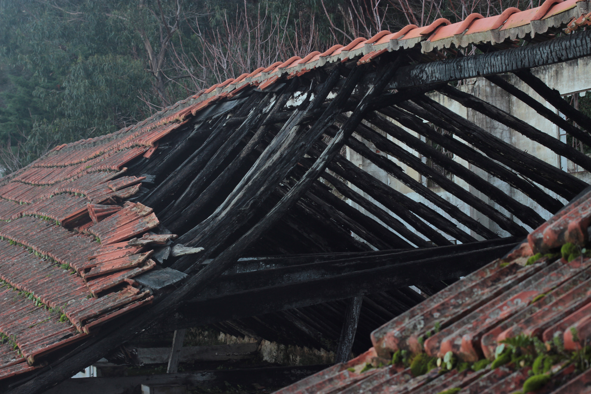 Canon EF 38-76mm f/4.5-5.6 sample photo. Quinta da arealva photography