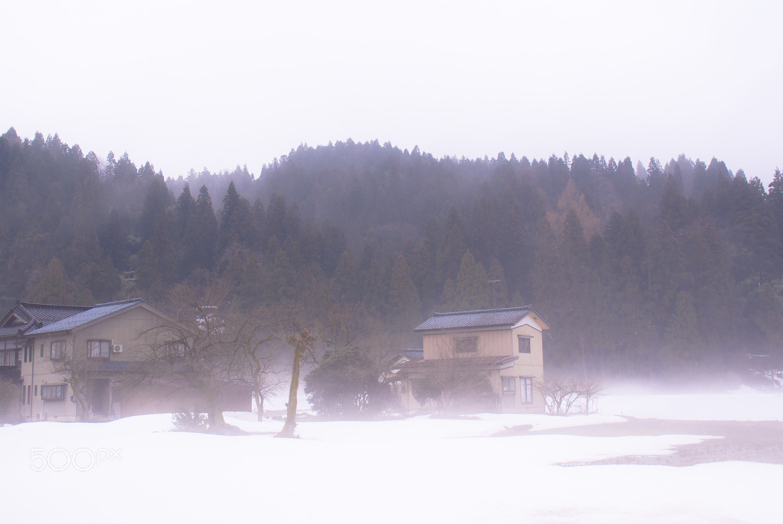 Tamron AF 18-200mm F3.5-6.3 XR Di II LD Aspherical (IF) Macro sample photo. "春の靄 " haze in the spring photography