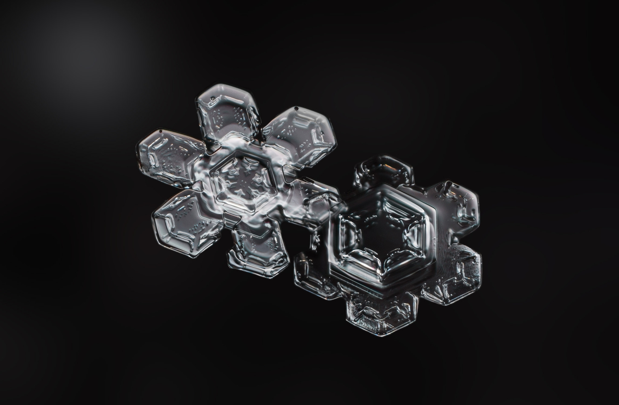 Canon MP-E 65mm F2.5 1-5x Macro Photo sample photo. Twin snowflakes photography