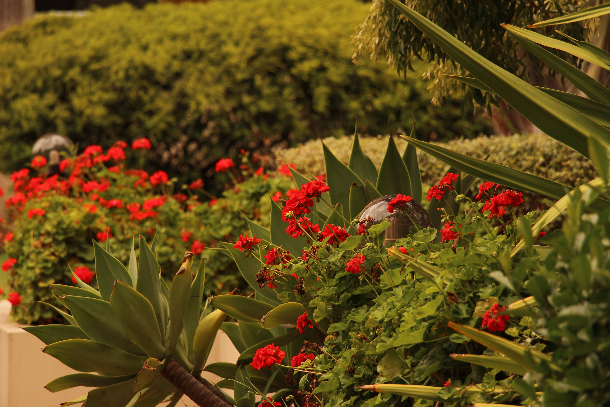 Canon EF 22-55mm f/4-5.6 USM sample photo