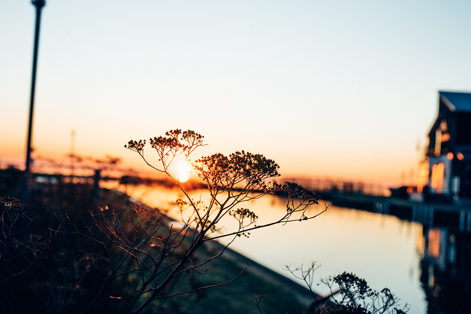 Sony a7 + Sigma 50mm F1.4 EX DG HSM sample photo. Usedom photography