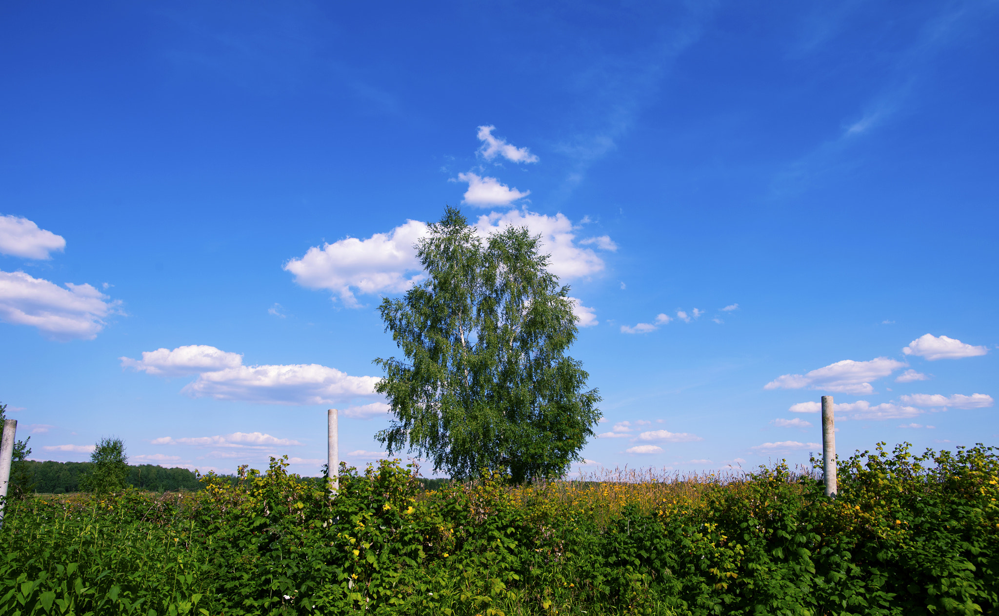 Nikon AF-S Nikkor 17-35mm F2.8D ED-IF sample photo. Ava_3896.jpg photography