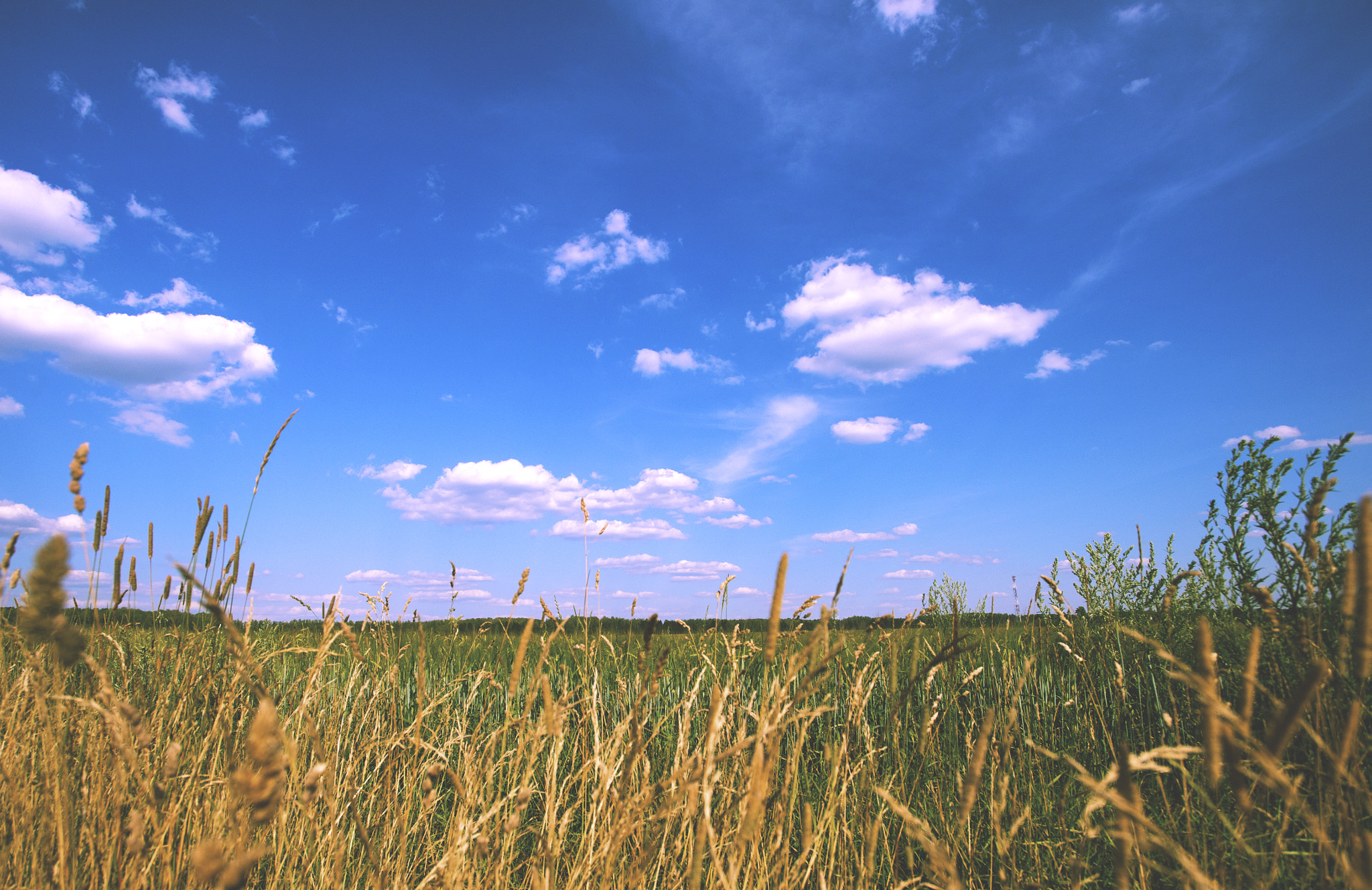 Nikon AF-S Nikkor 17-35mm F2.8D ED-IF sample photo. Ava_3914.jpg photography