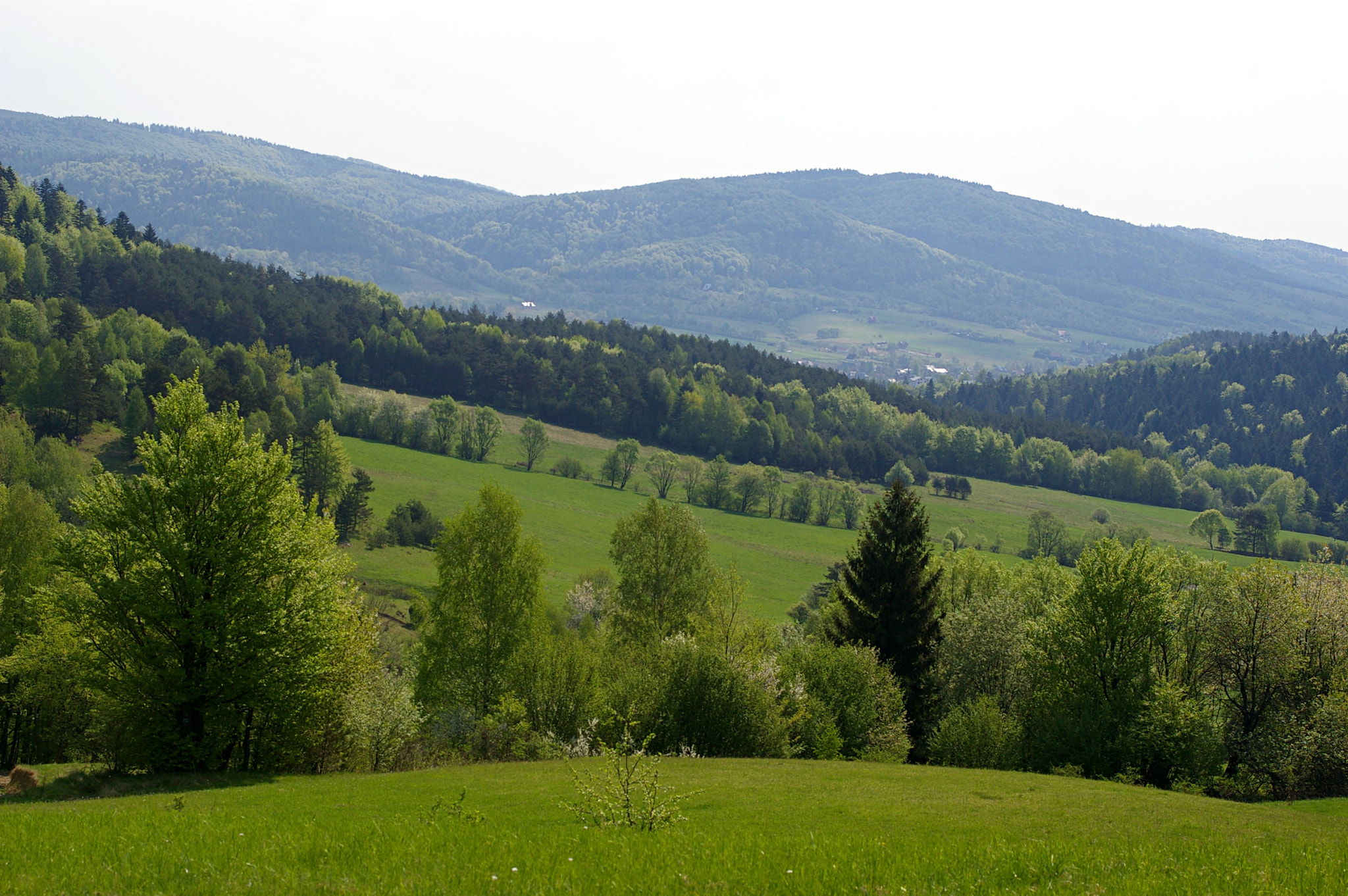 Pentax K100D + smc PENTAX-FA Macro 50mm F2.8 sample photo. Hills of low beskid photography