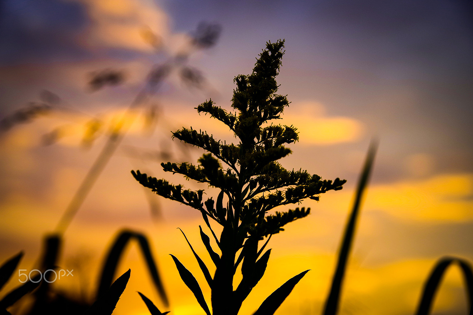 Pentax K-S1 sample photo. Impressive sunset photography