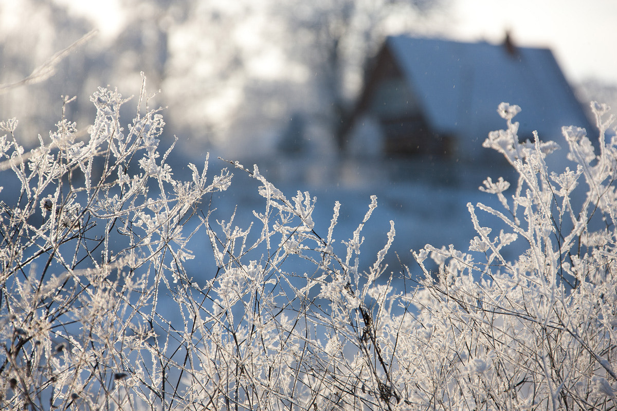 Canon EOS-1Ds Mark III sample photo. Russian winter photography