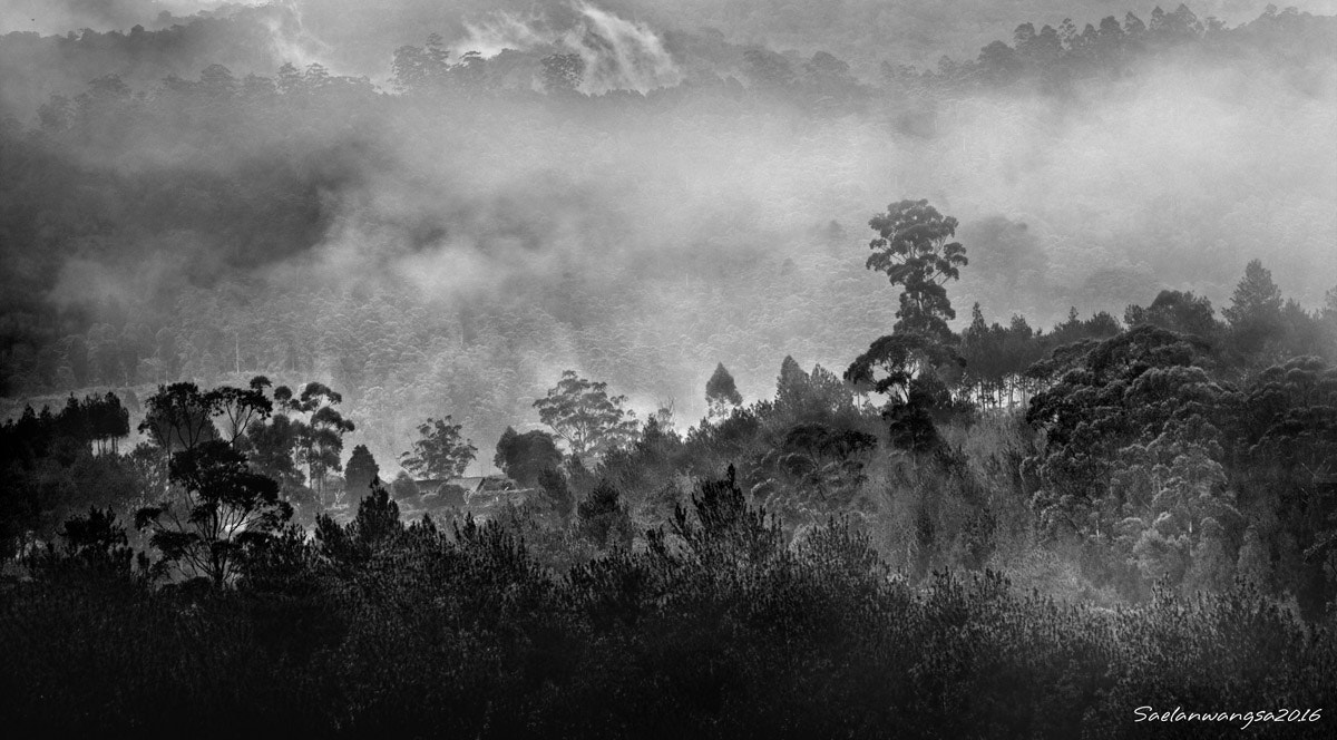 Pentax K10D + smc PENTAX-FA J 75-300mm F4.5-5.8 AL sample photo. In the foggy hills photography