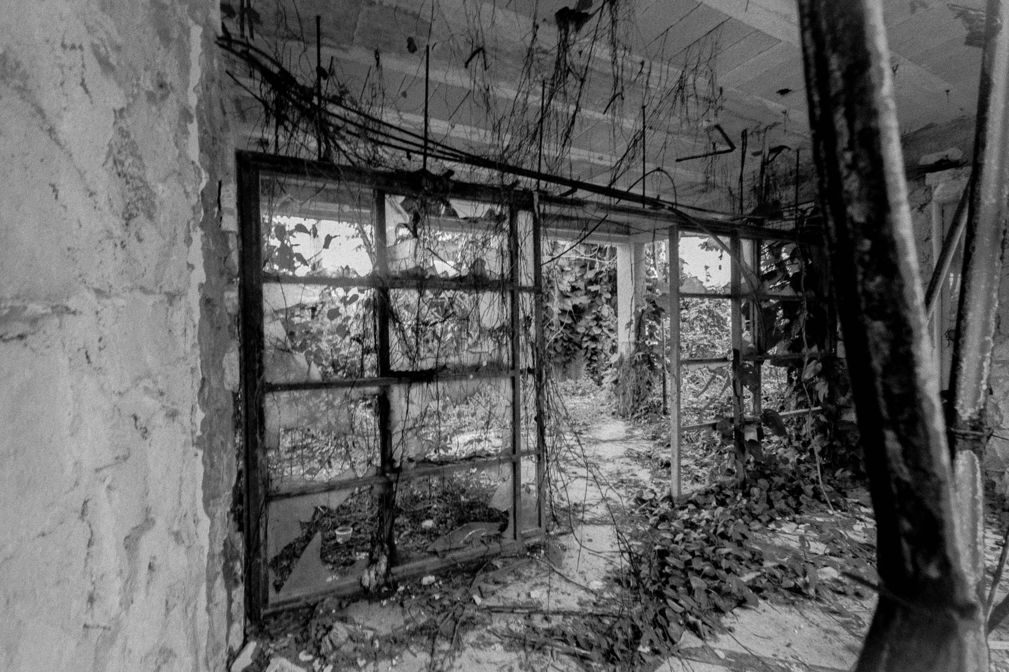 Sigma 10-20mm F4-5.6 EX DC HSM sample photo. Courtyard entrance.jpg photography