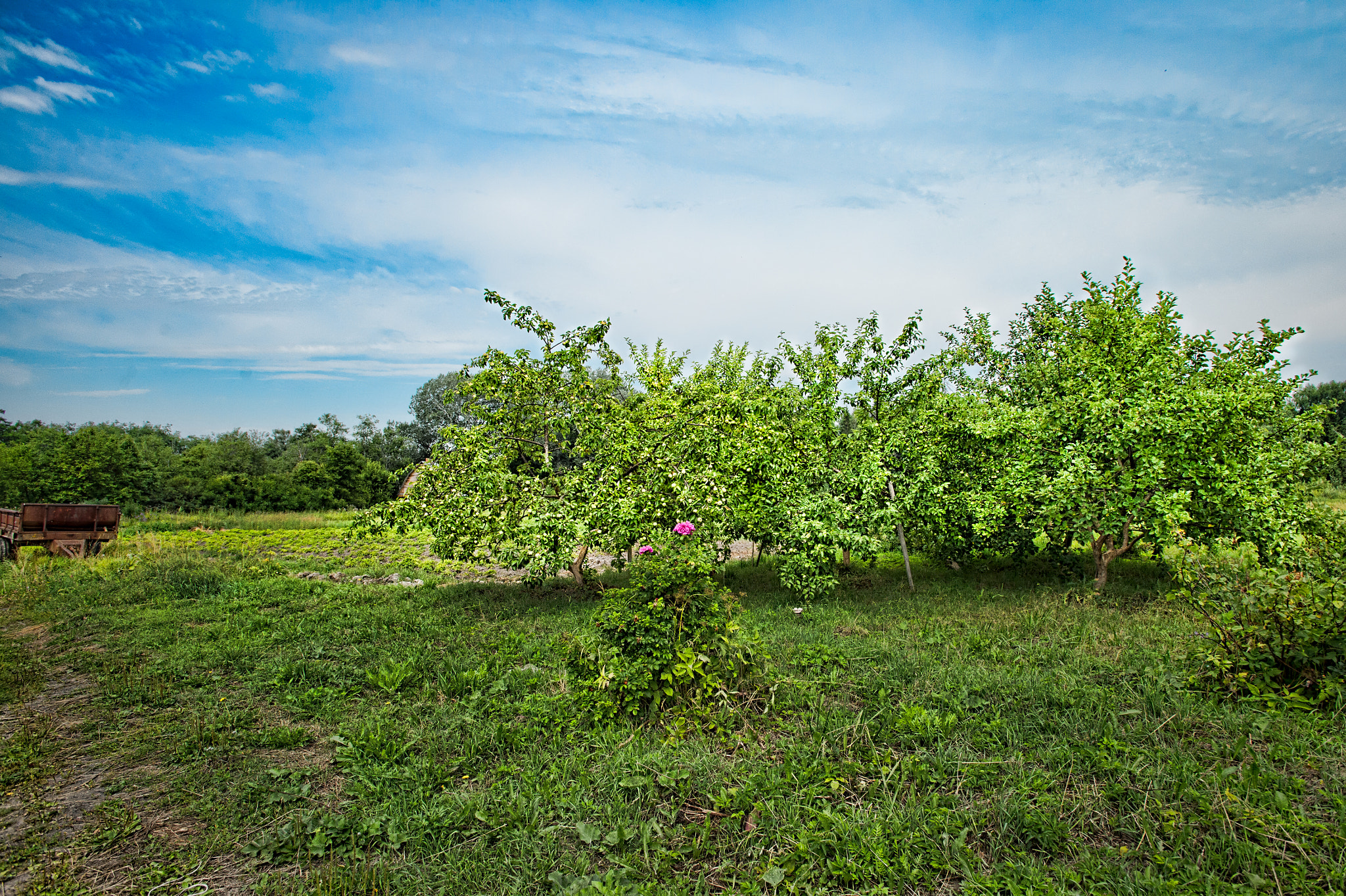 Nikon AF-S Nikkor 17-35mm F2.8D ED-IF sample photo. Ivanovo countryside photography