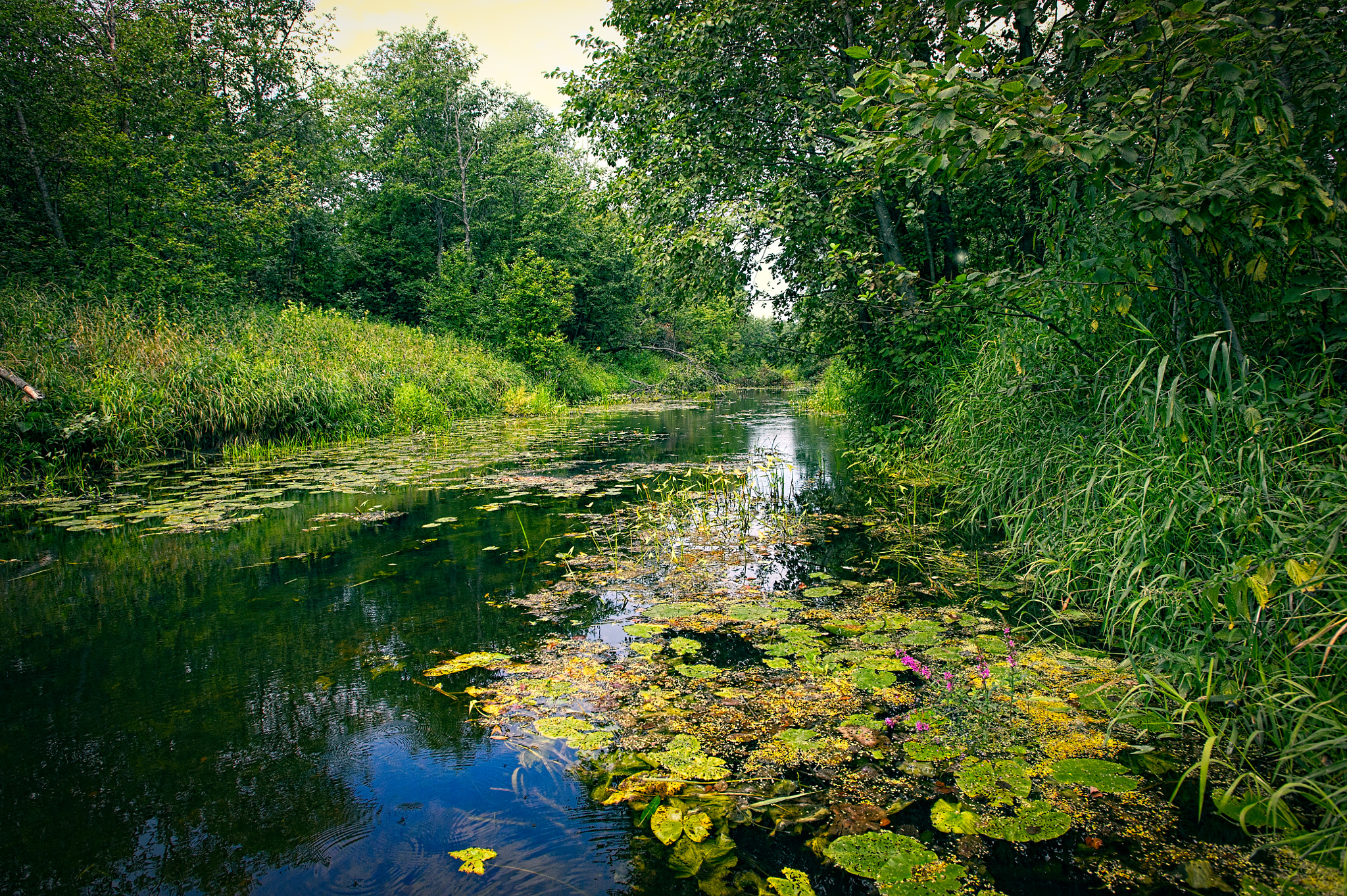 Nikon AF-S Nikkor 17-35mm F2.8D ED-IF sample photo. Ivanovo countryside photography