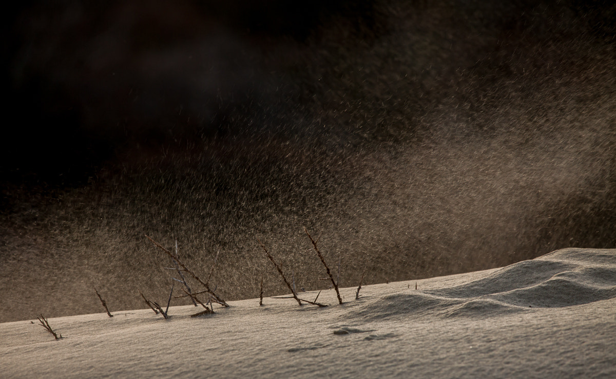 Canon EF-S 55-250mm F4-5.6 IS STM sample photo. Dancing sands photography