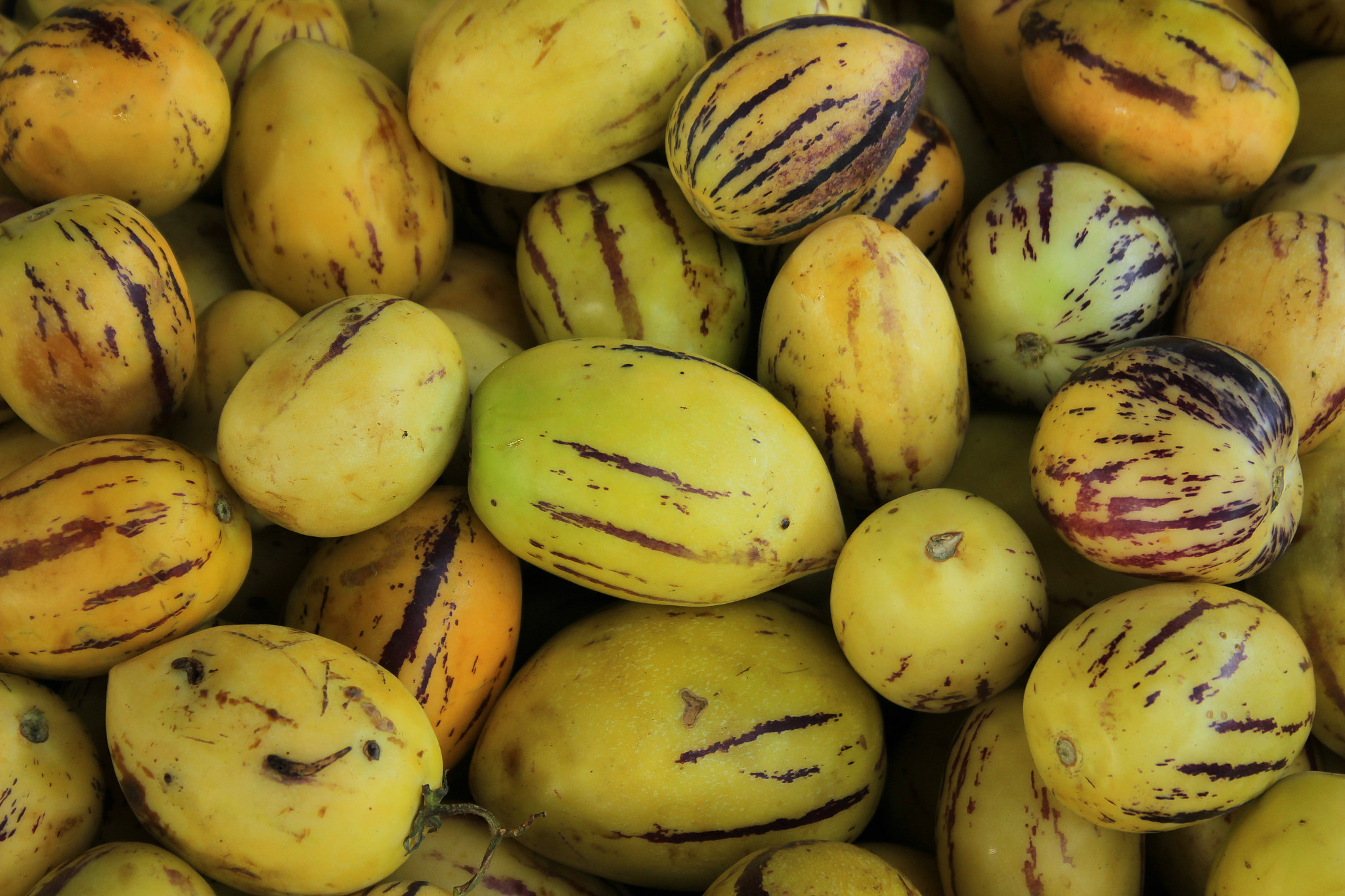Canon EF-S 18-55mm F3.5-5.6 sample photo. Exotic fruit photography