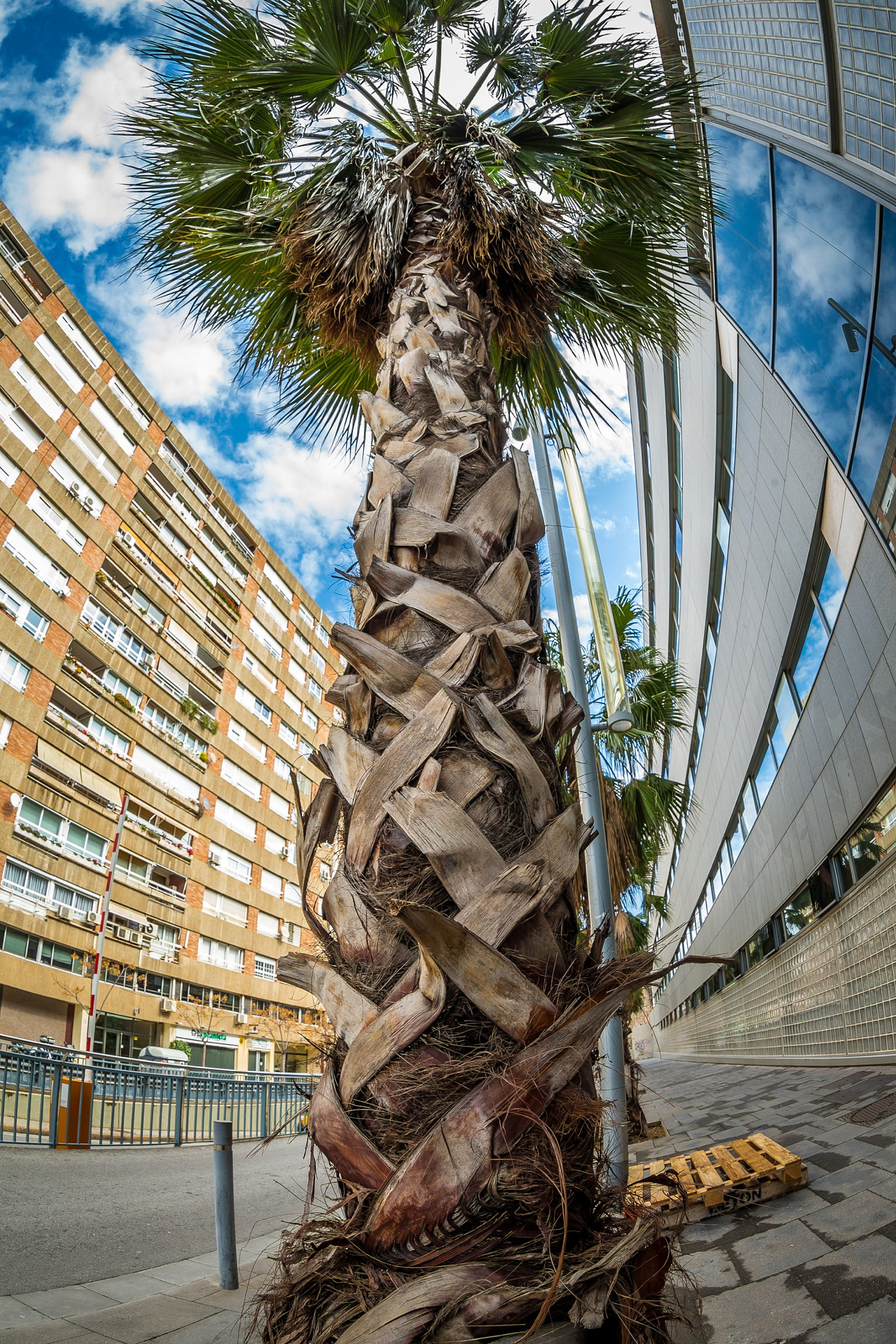 Canon EF 8-15mm F4L Fisheye USM sample photo. Barcelona photography